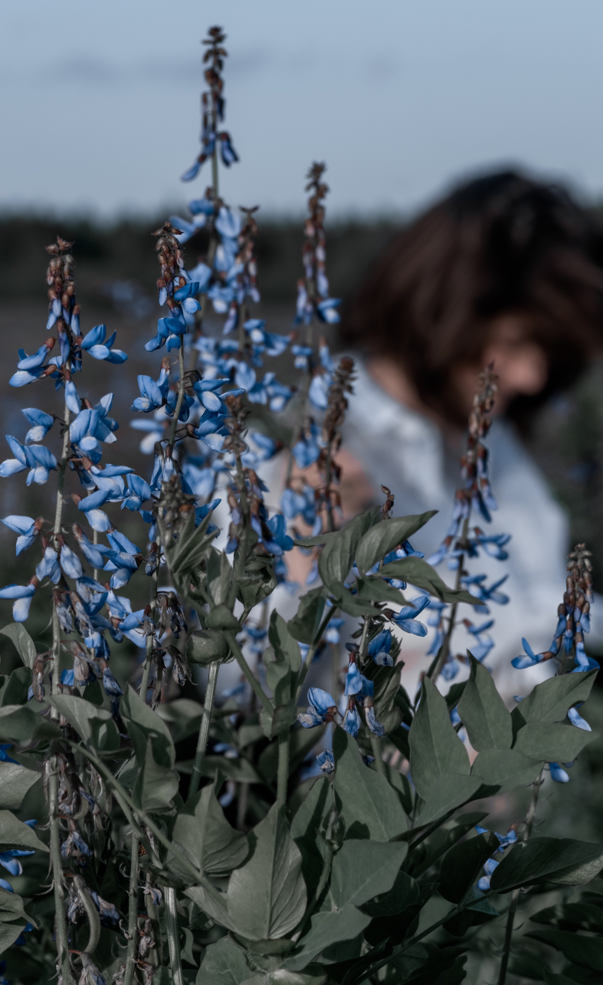 Фотосессии на природе. Фотограф Светлана Воронцова