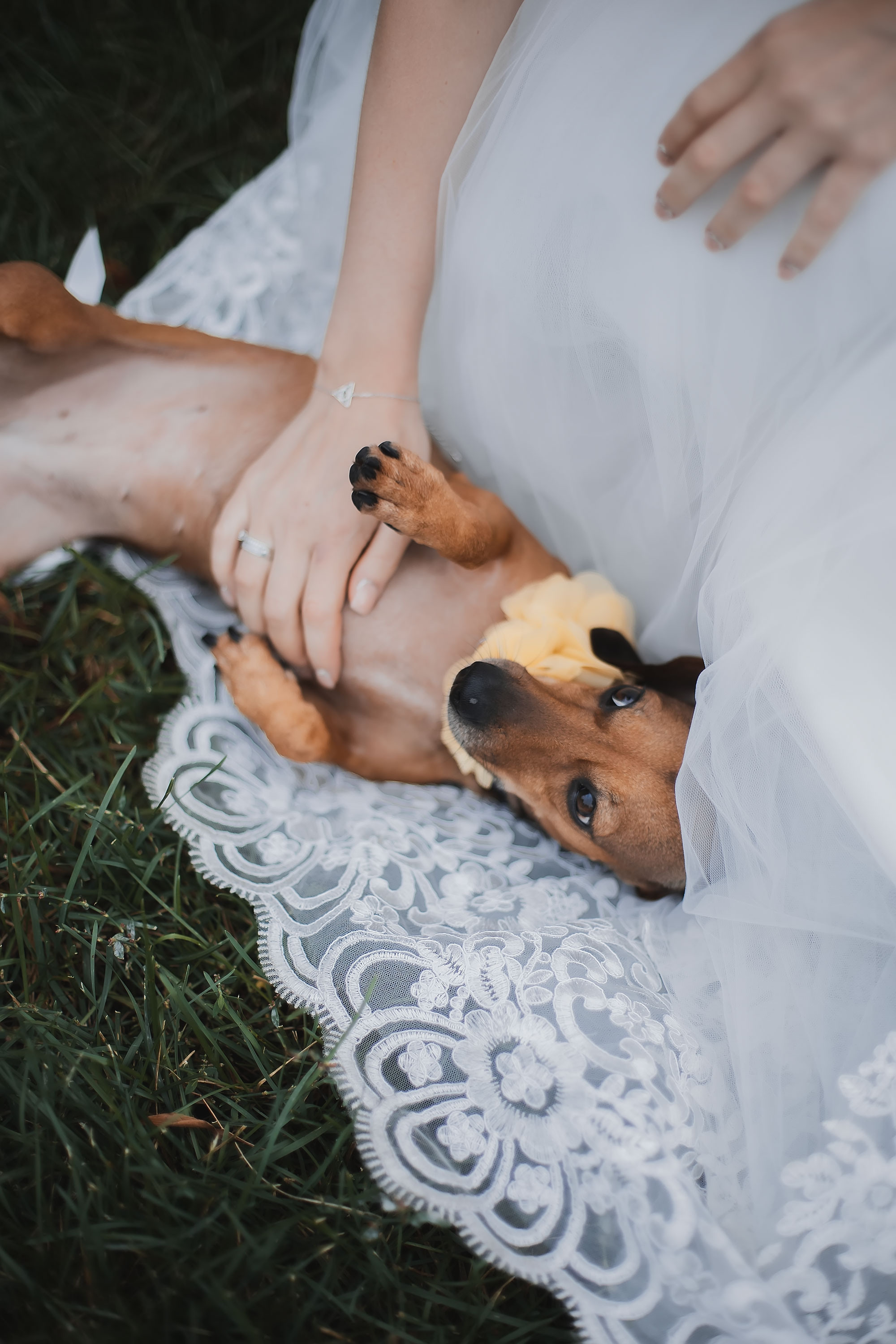 Свадьба Алексея и Александры. Семейный, индивидуальный фотограф в Москве Ангели Марина