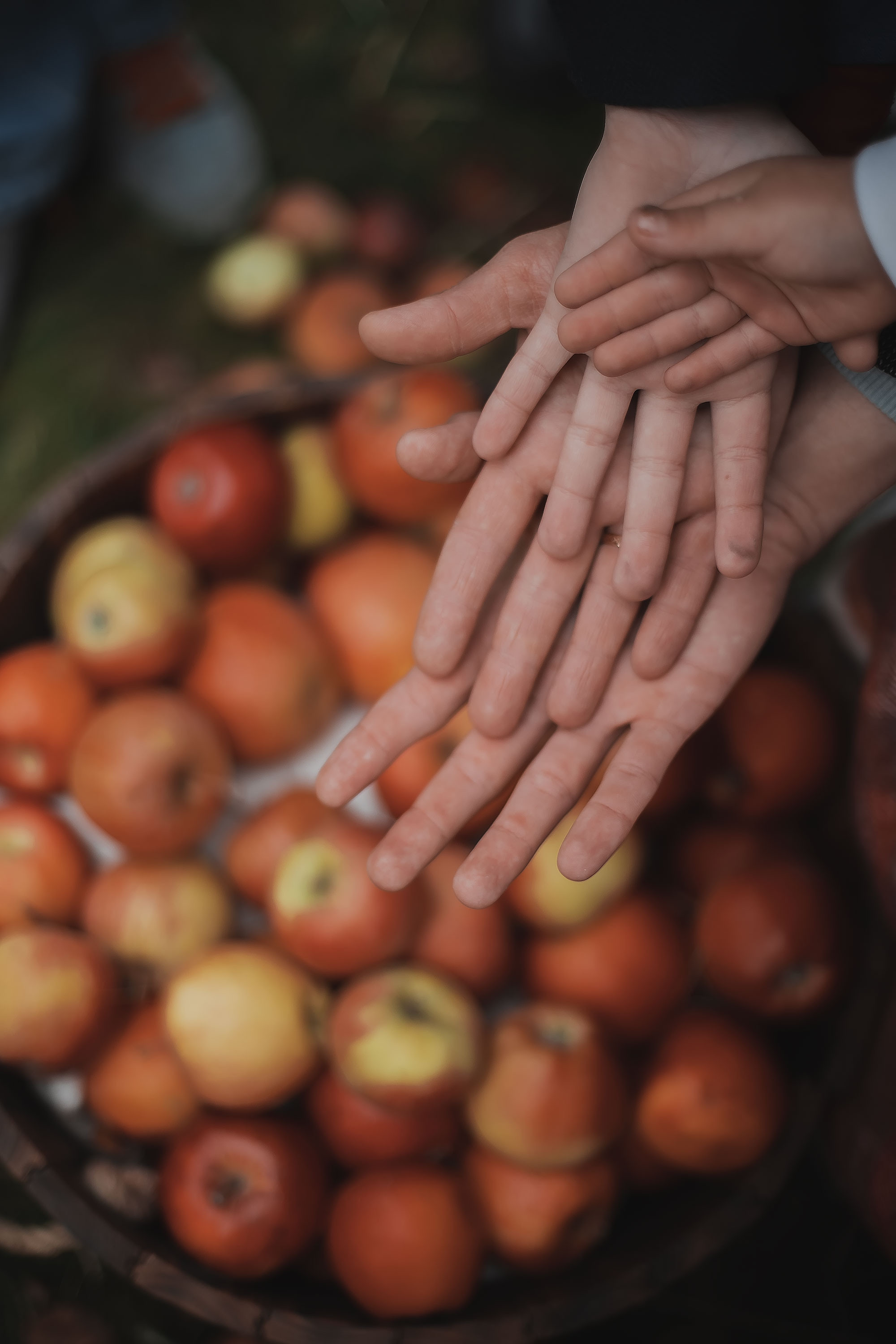 Семья Магомединовы. Семейный, индивидуальный фотограф в Москве Ангели Марина