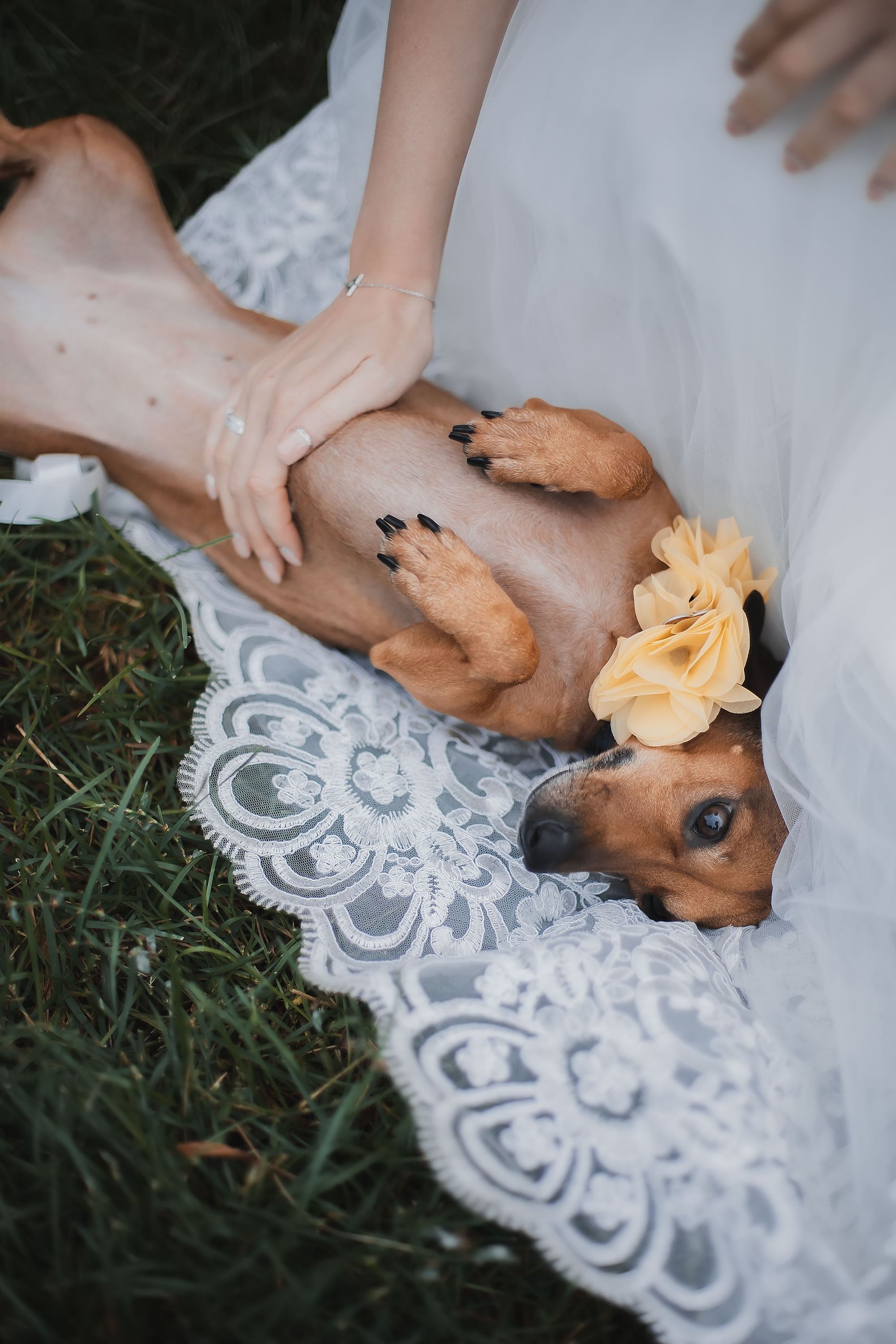 Свадьба Алексея и Александры. Семейный, индивидуальный фотограф в Москве Ангели Марина