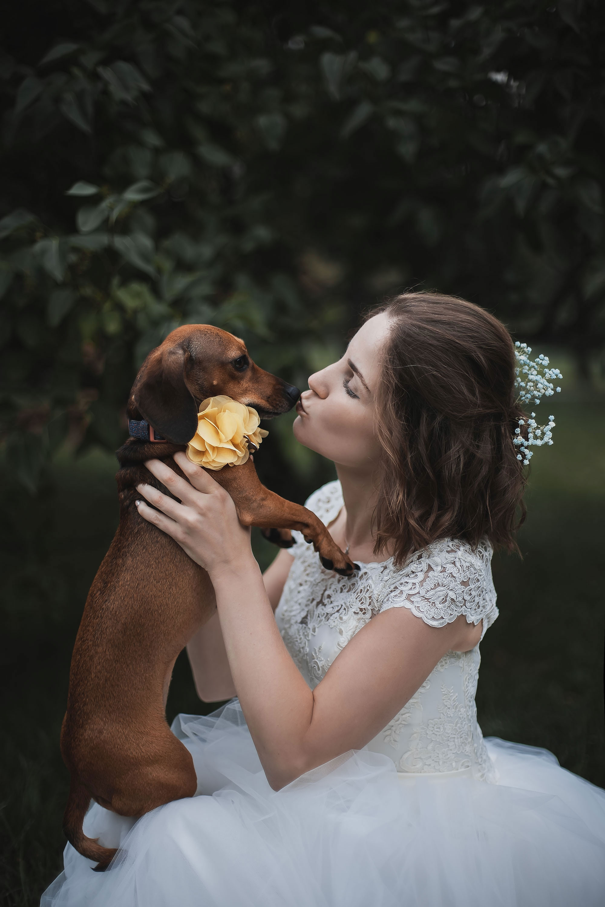 Свадьба Алексея и Александры. Семейный, индивидуальный фотограф в Москве Ангели Марина