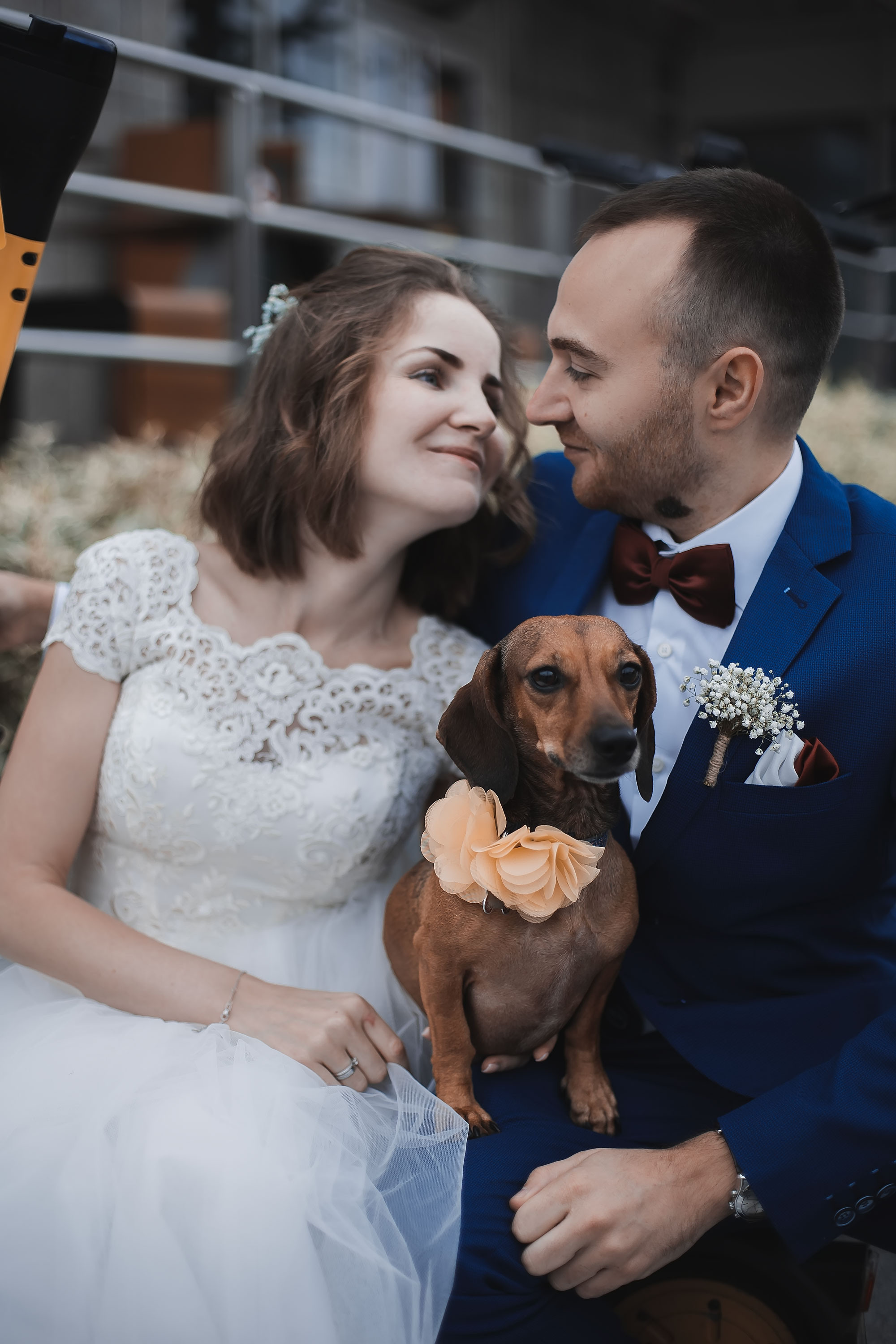 Свадьба Алексея и Александры. Семейный, индивидуальный фотограф в Москве Ангели Марина