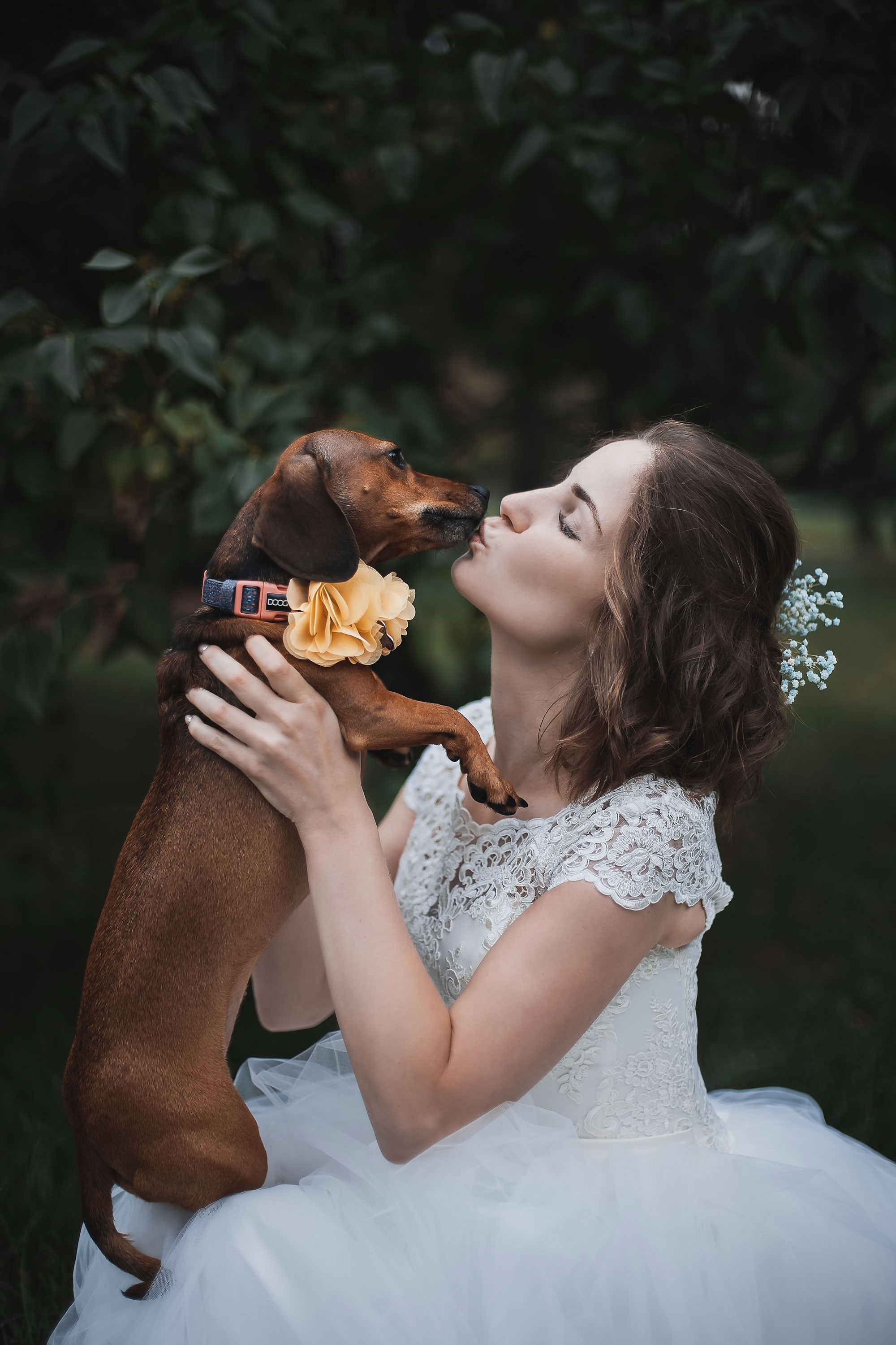 Свадьба Алексея и Александры. Семейный, индивидуальный фотограф в Москве Ангели Марина