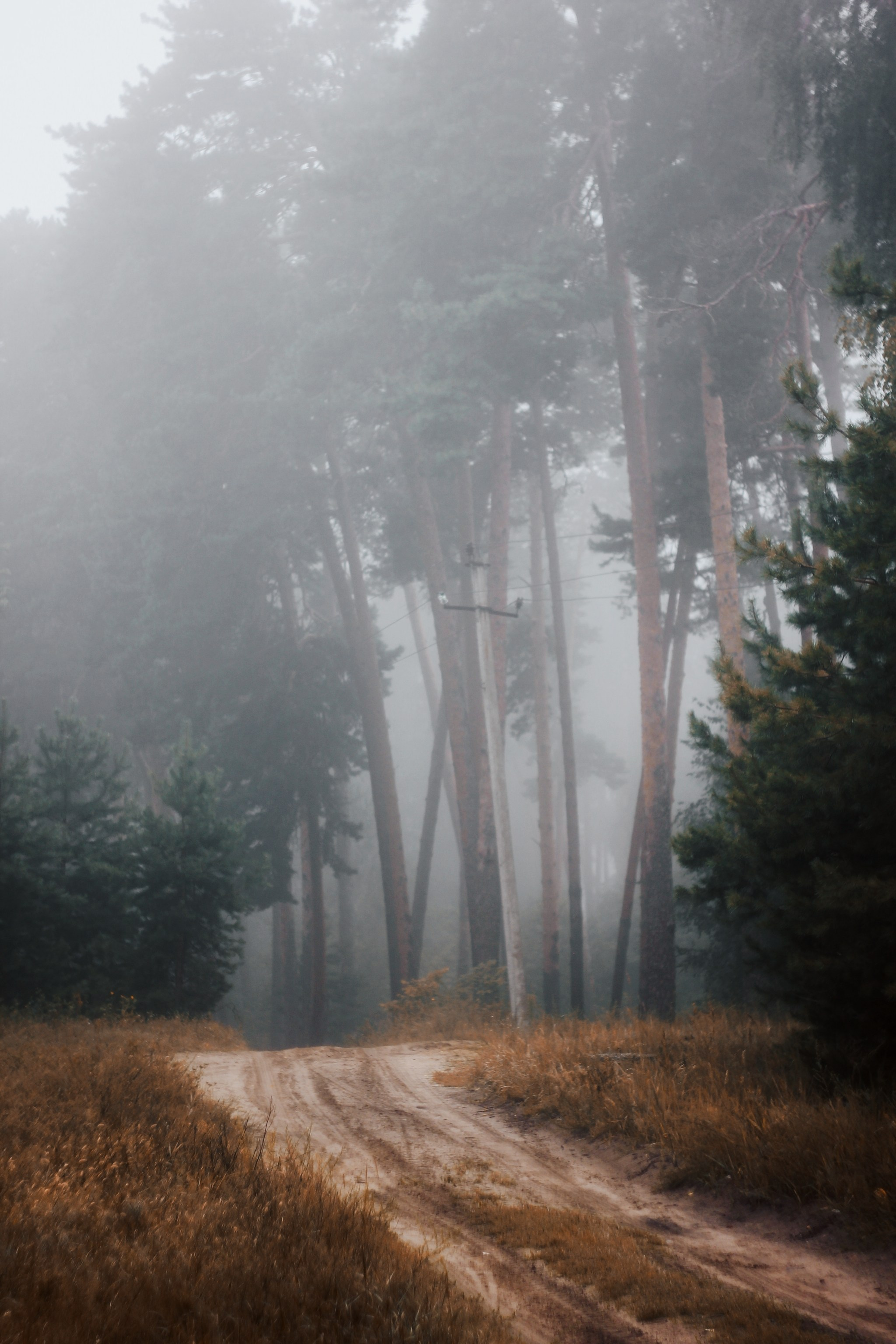 Меланхолия августа. С любовью, фотохудожник