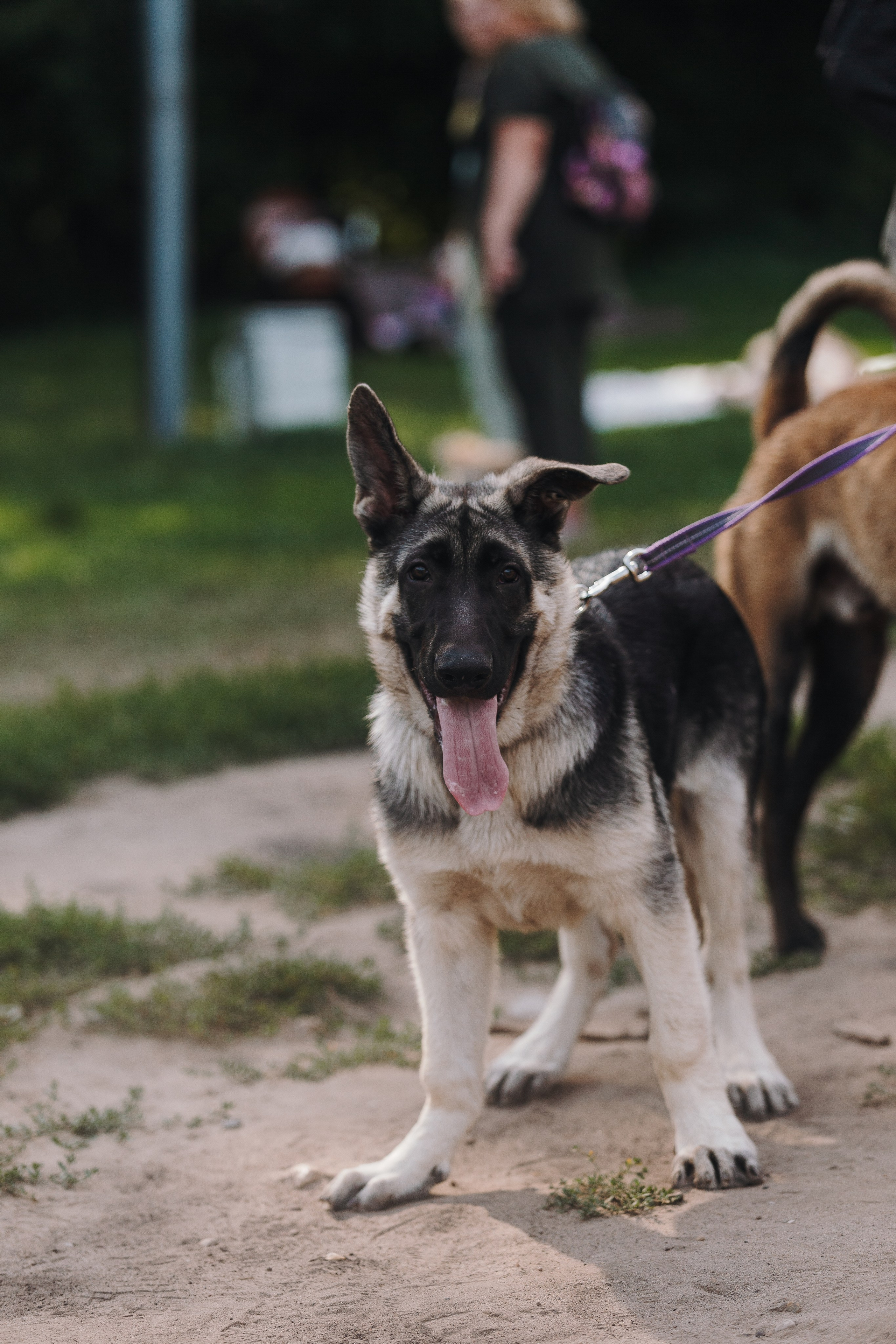 Petshop Sup day. Фотограф анималист Кристина Карпова, Москва