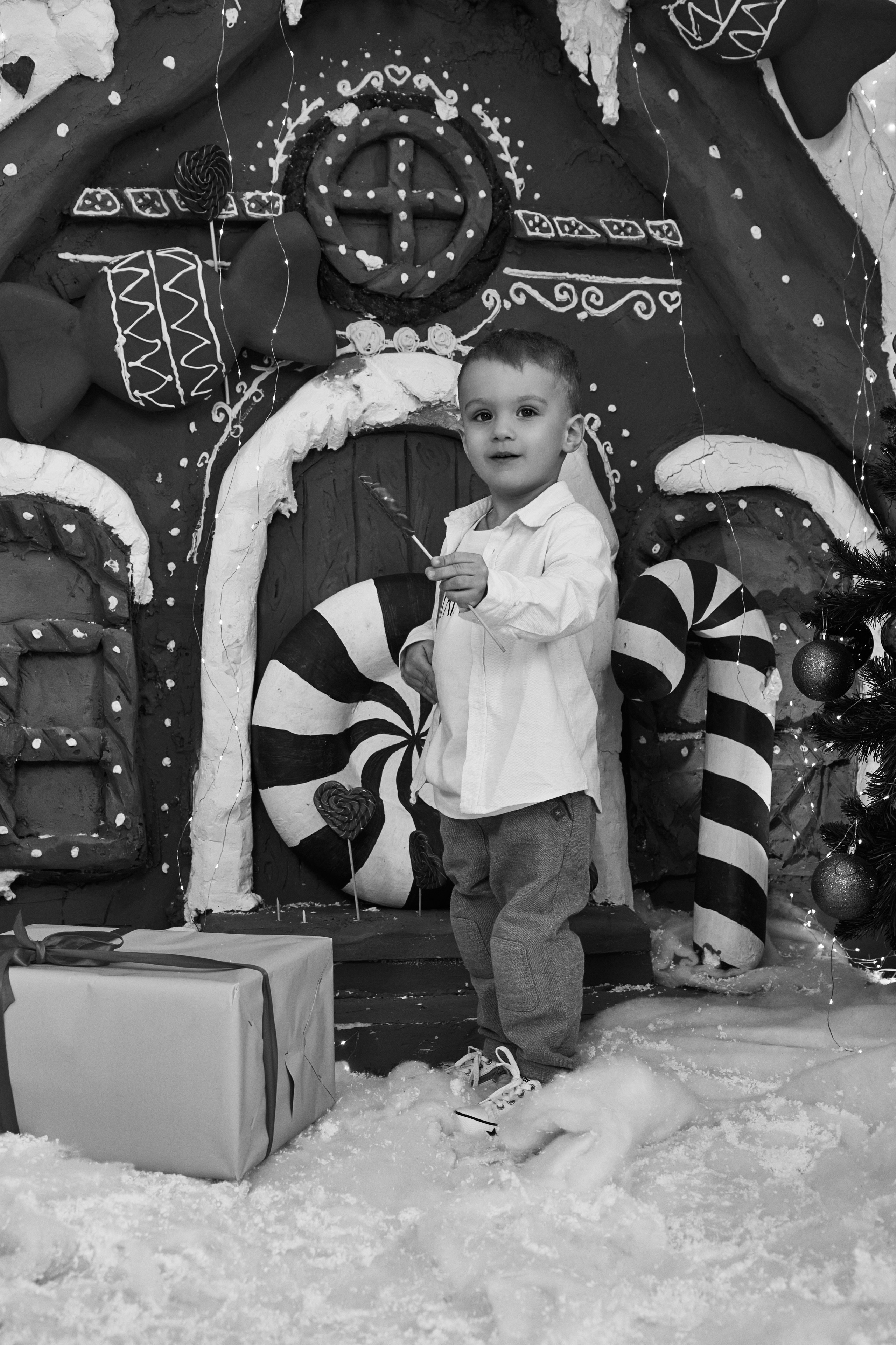 Богдан. Фотограф в Краснодаре Татьяна Вижевитова