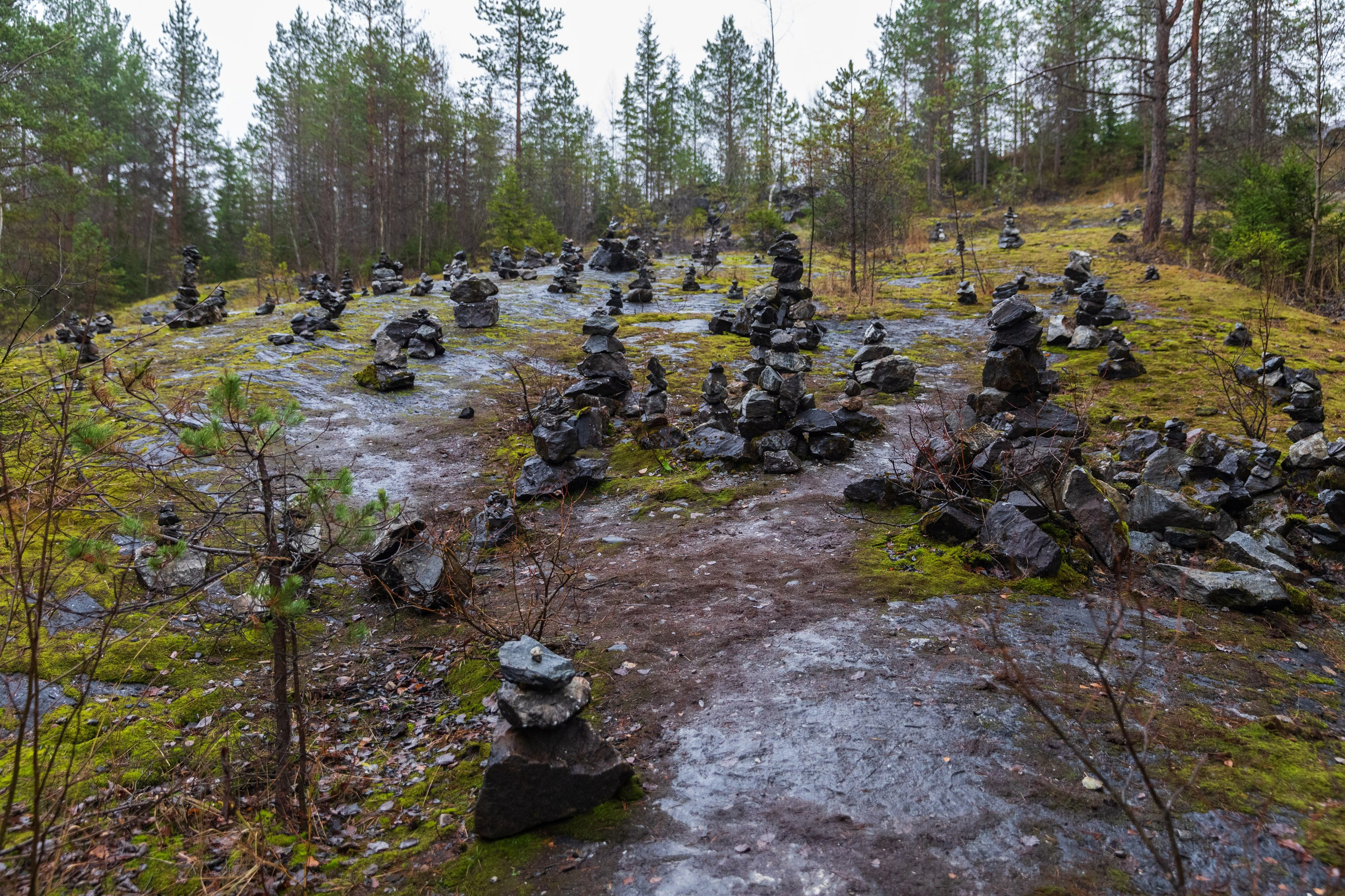 Большое путешествие в Карелию на машине. Марина Захарова — Фотограф. Москва / Marina Zakharova — Photographer
