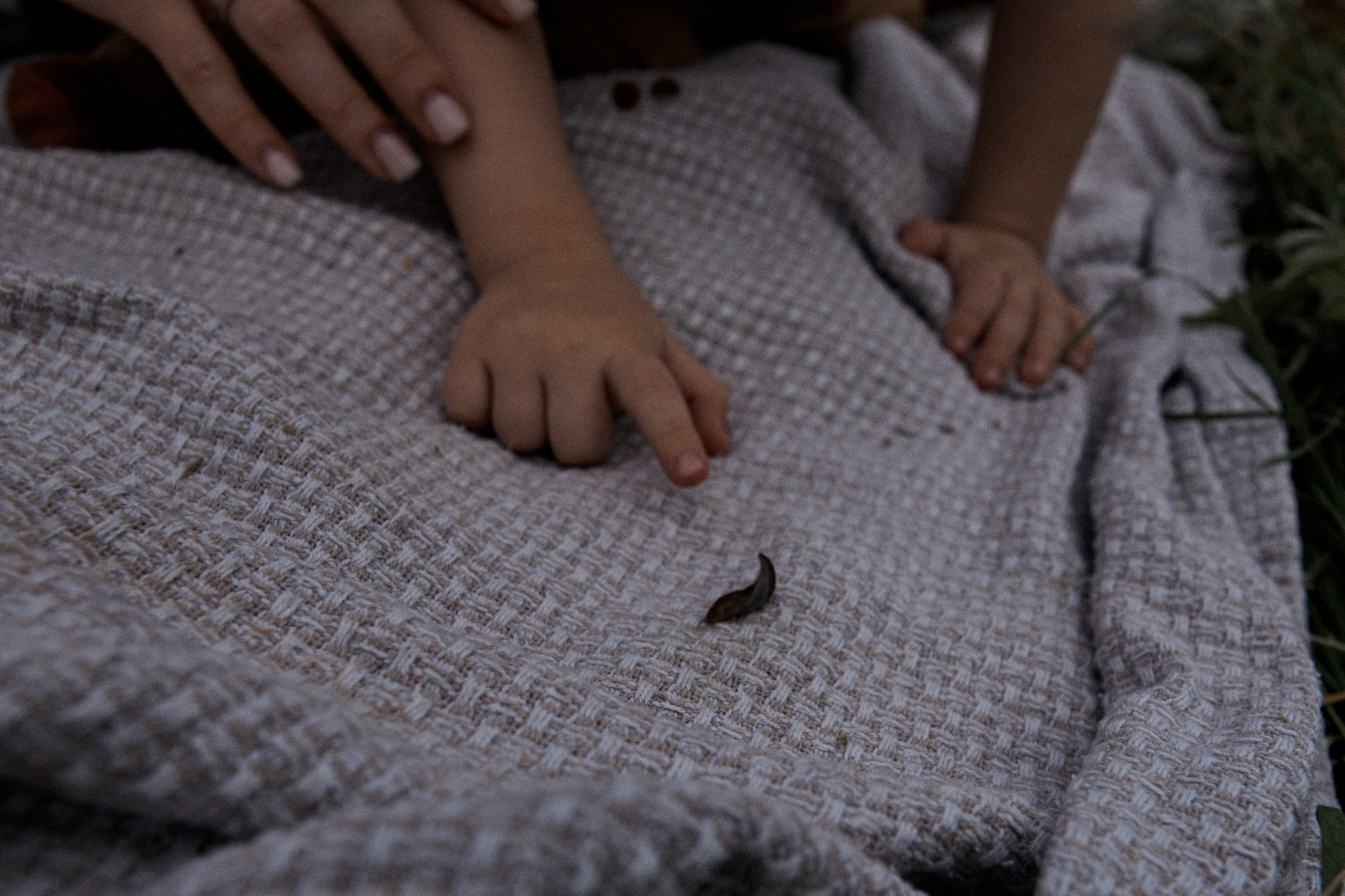 Dasha and the boys. Portrait, family and pet photographer in Cyprus, Ksenia Bourdelle