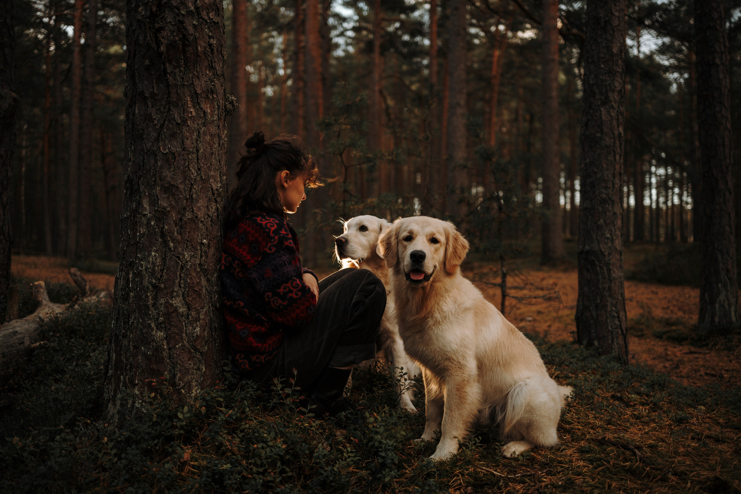 Прогулка Насти с Арчи и Арагоном. Фотограф-анималист в Санкт-Петеребурге Титова Алиса