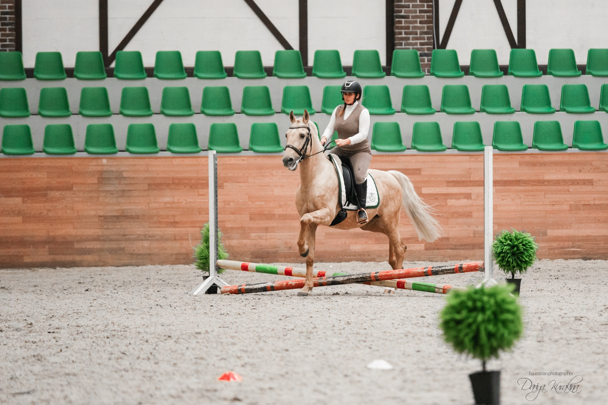 8-я международная выставка Конная Россия. Конный фотограф Куракина Дарья • Фотосессии с лошадьми