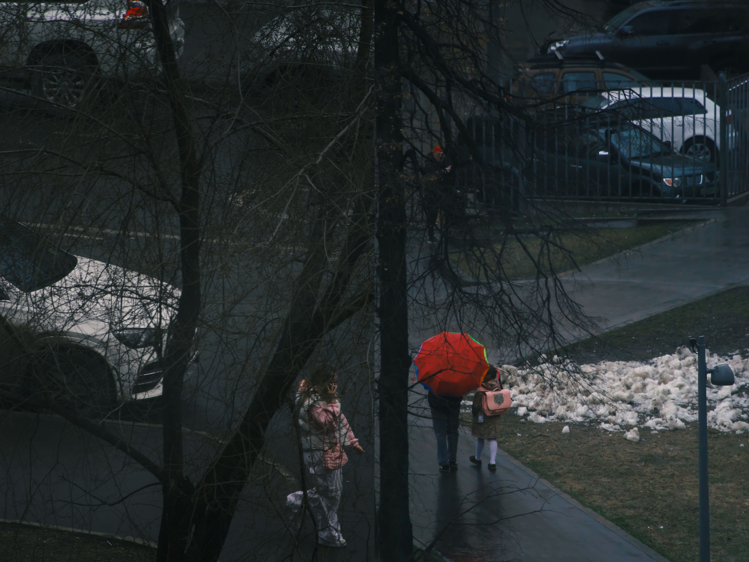 Диптих. Миша Печёнкин | фотография