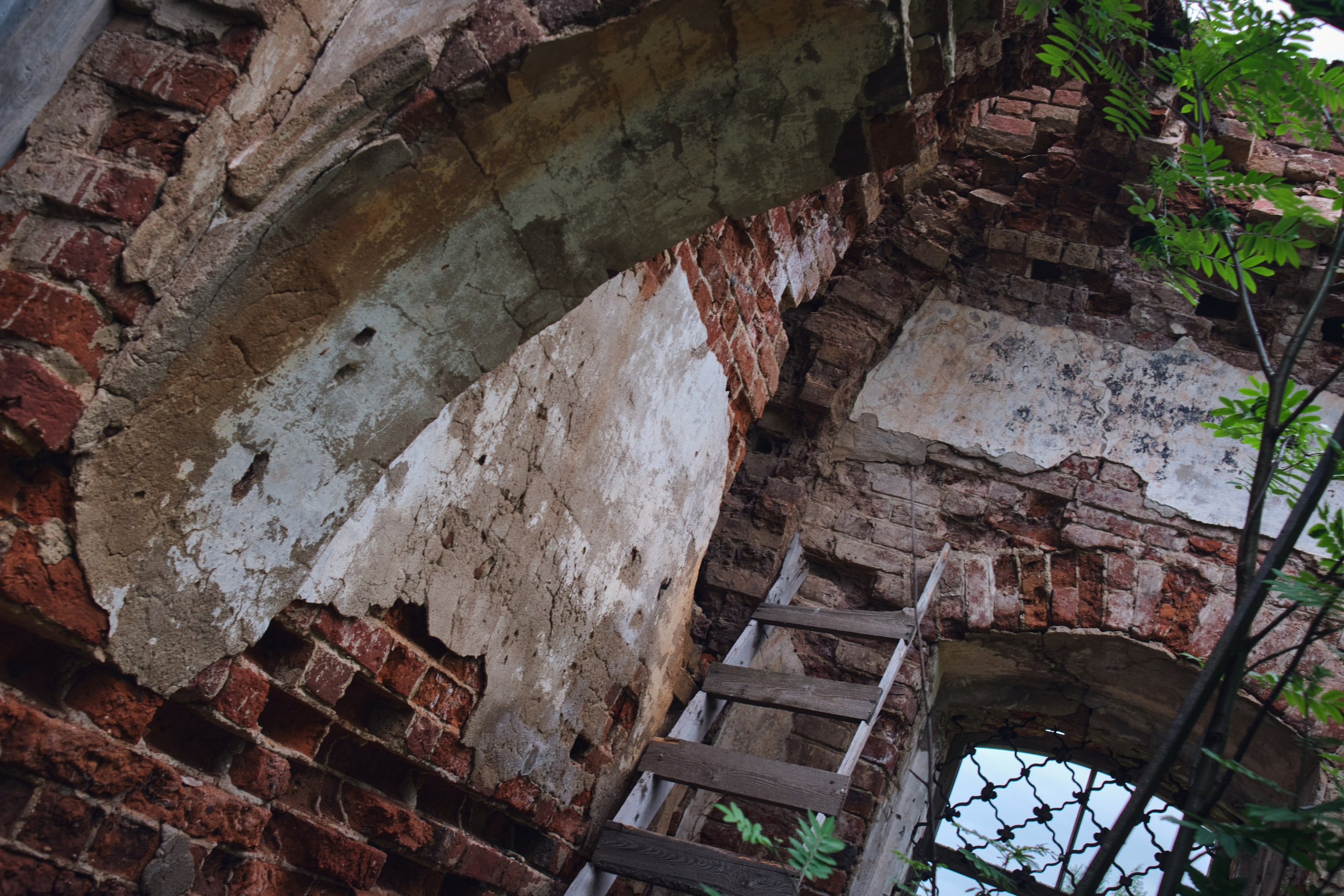 Русский север: путешествие по Карелии, Архангельской и Вологодской областям