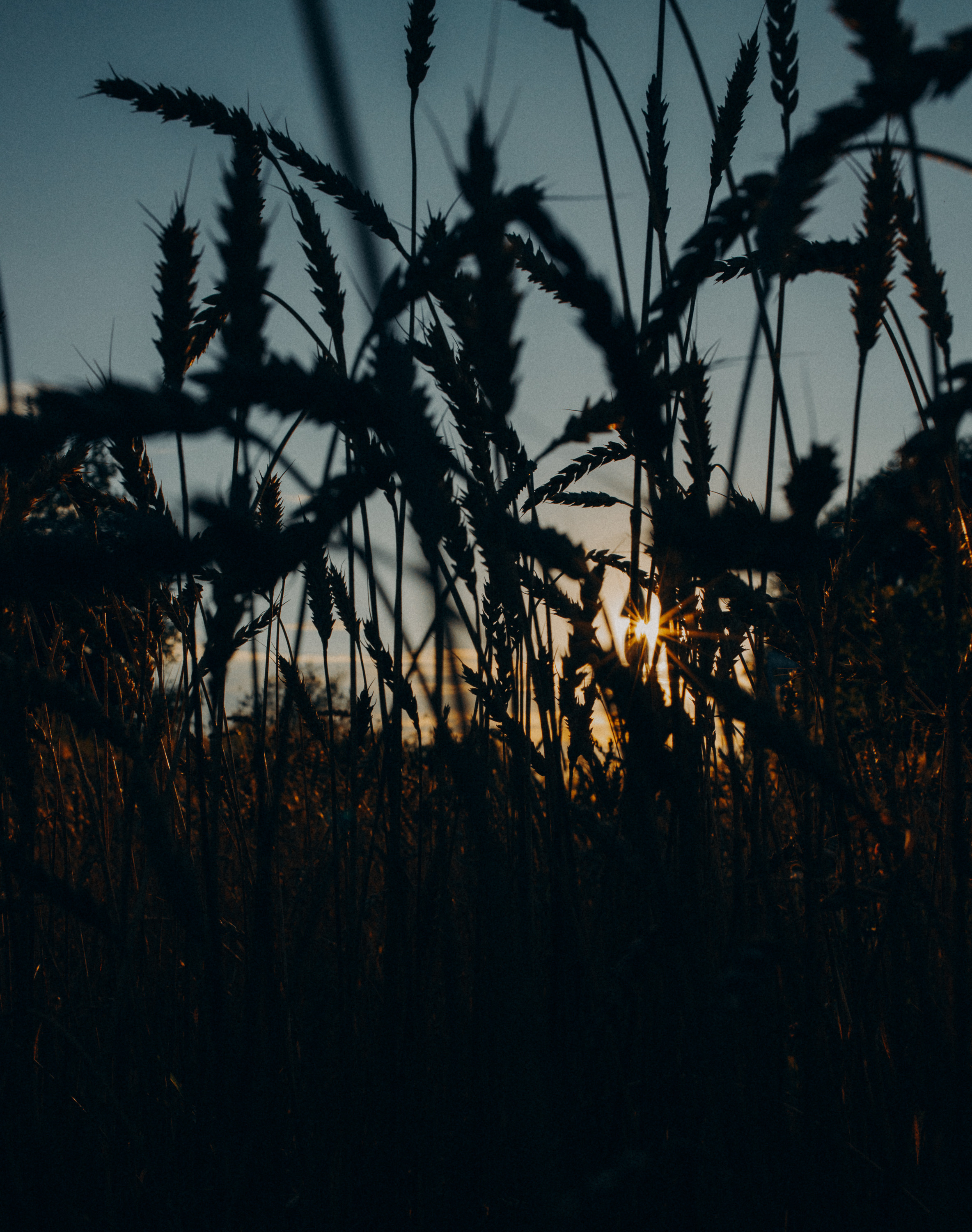 Kostya + Kristina. ФОТОГРАФ Екатеринбург Москва Анастасия Замесина