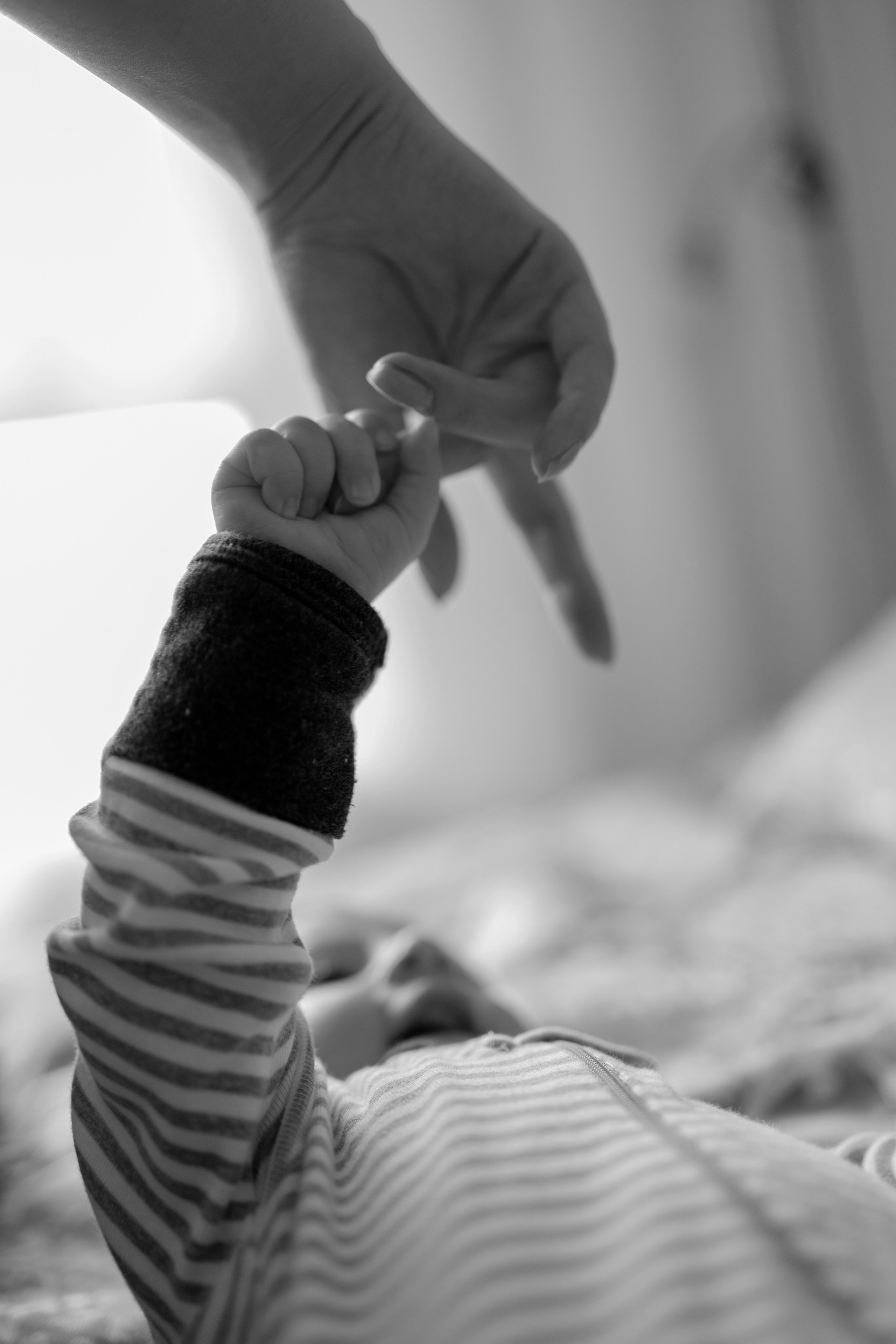 Артур, Лика, Давид. Фотограф беременности и материнства в Москве Мария Менендес-Гонсалес