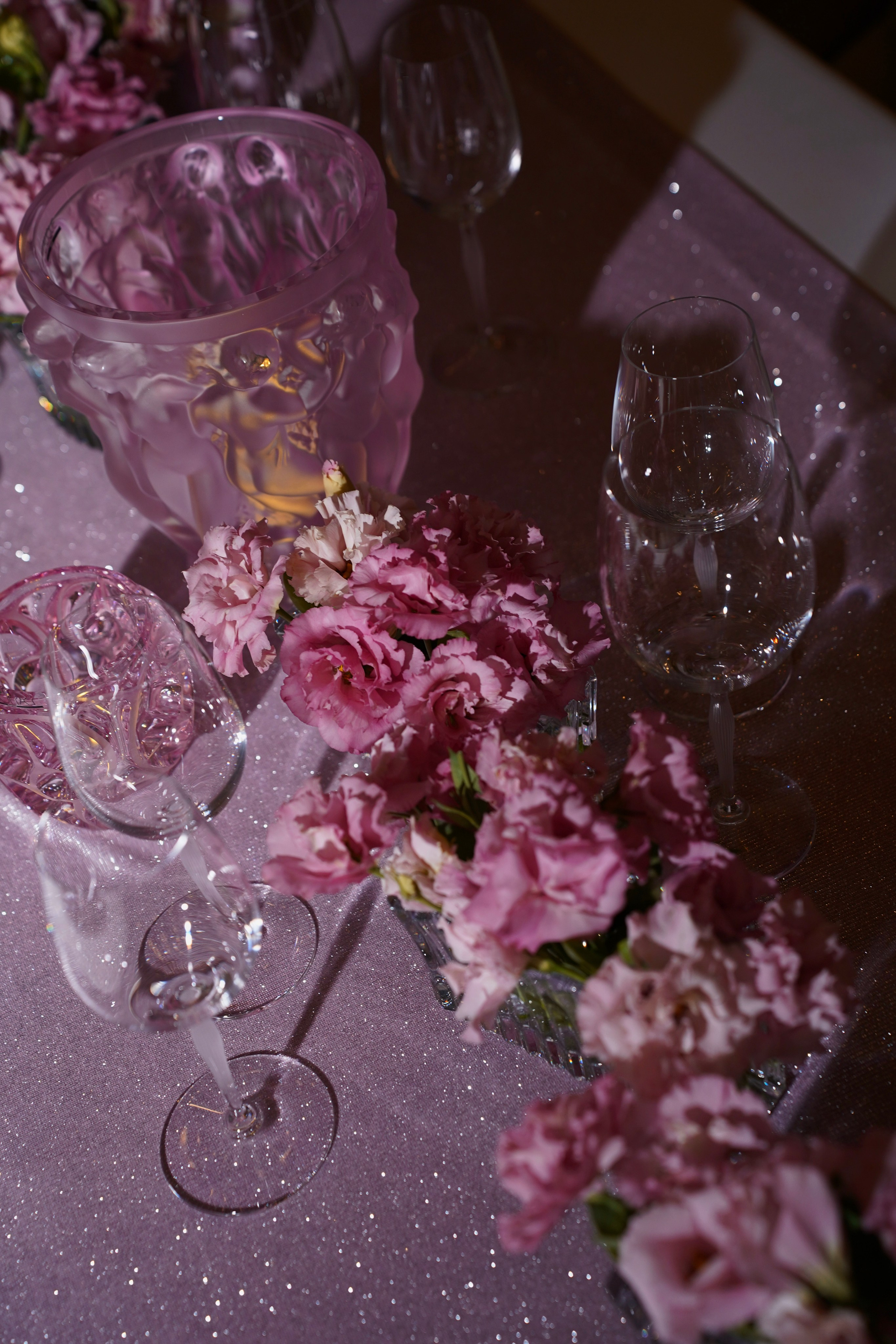 Мероприятия. Универсальный фотограф в Геленджике Сидорина Кристина