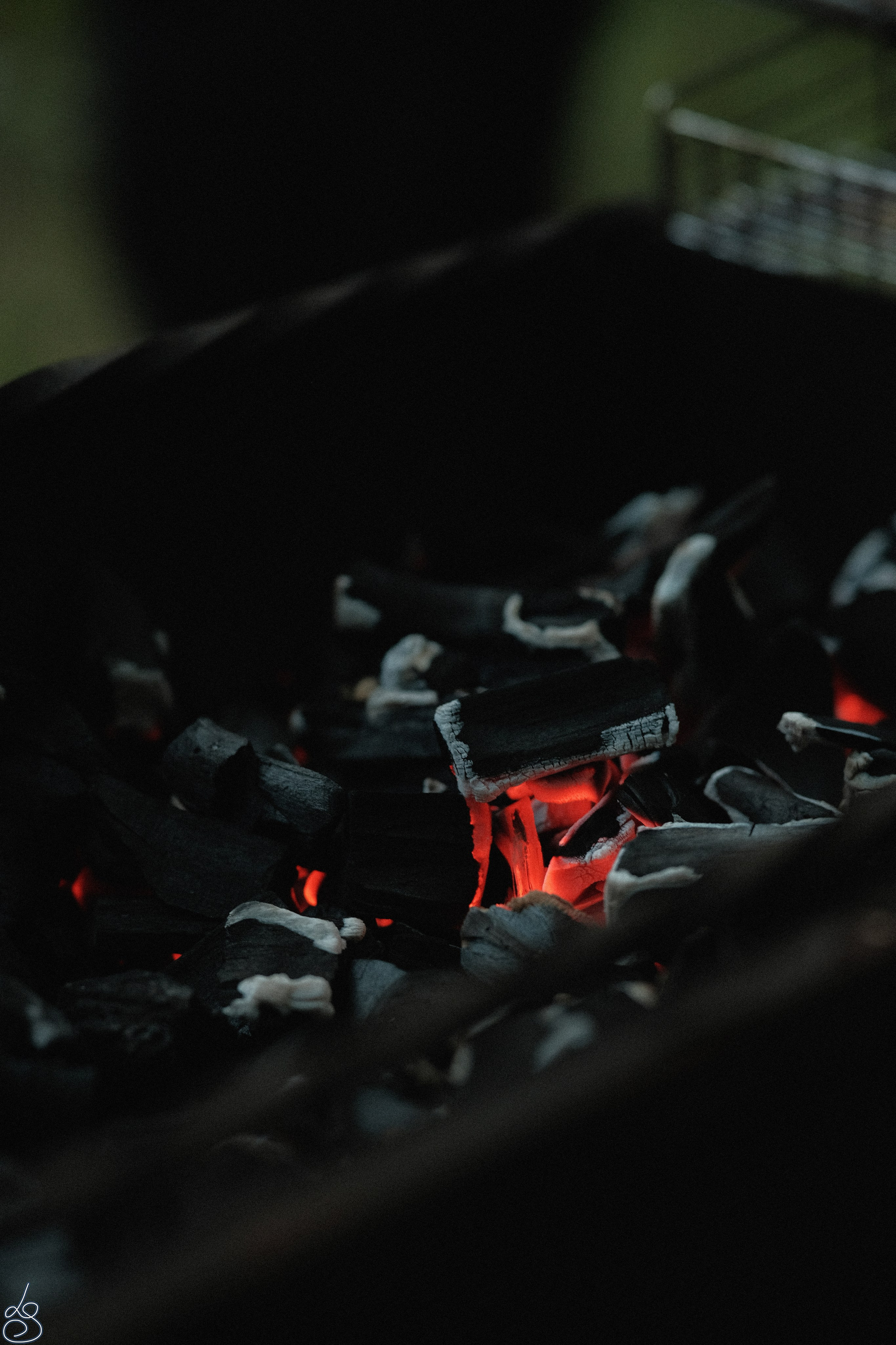 Концерт ДП ФБР. Лиза Рязанцева