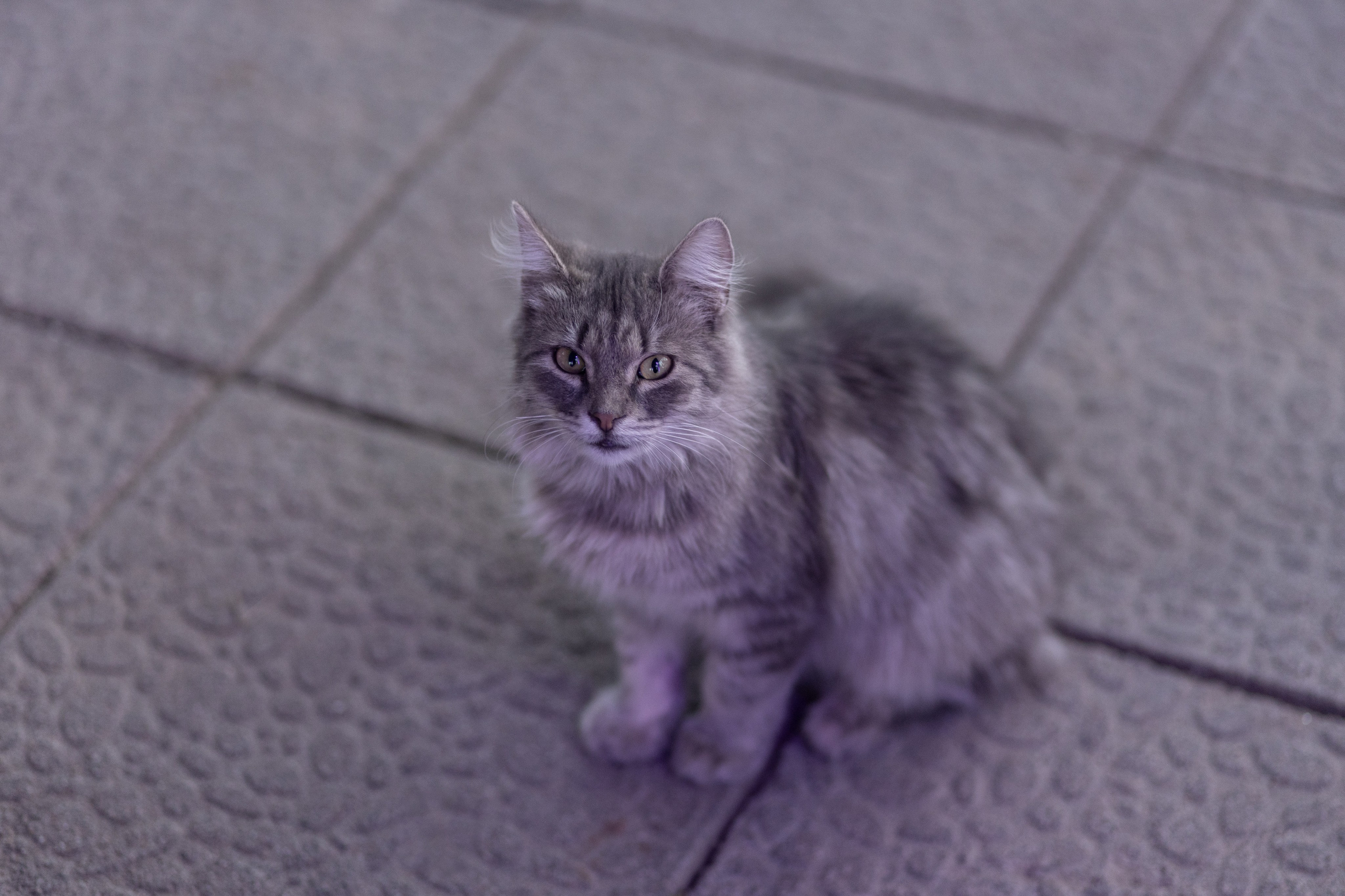 Вечеринка в стиле 90х. Анастасия Безуглова- свадебный фотограф в Таганроге