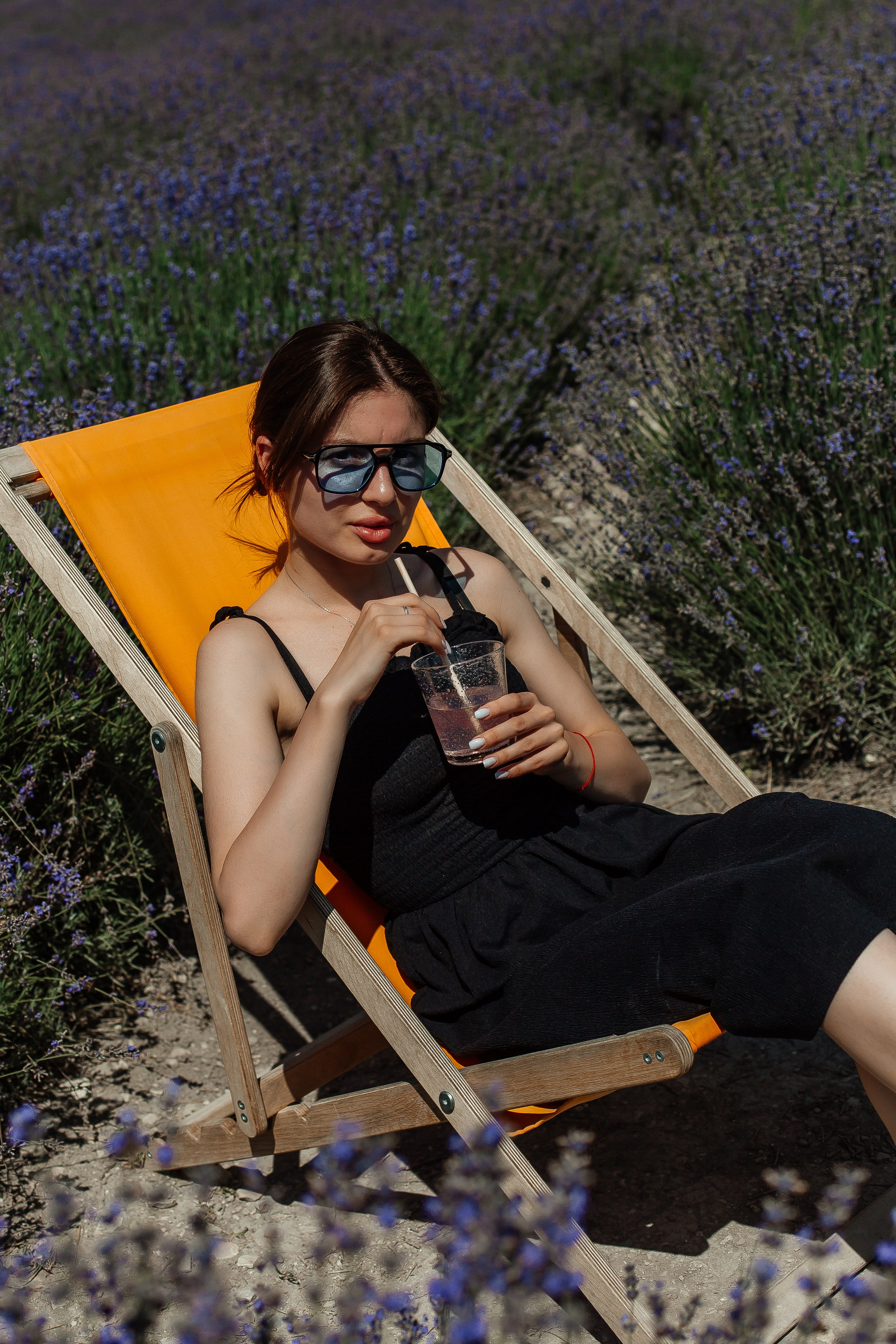 Лавандовые поля