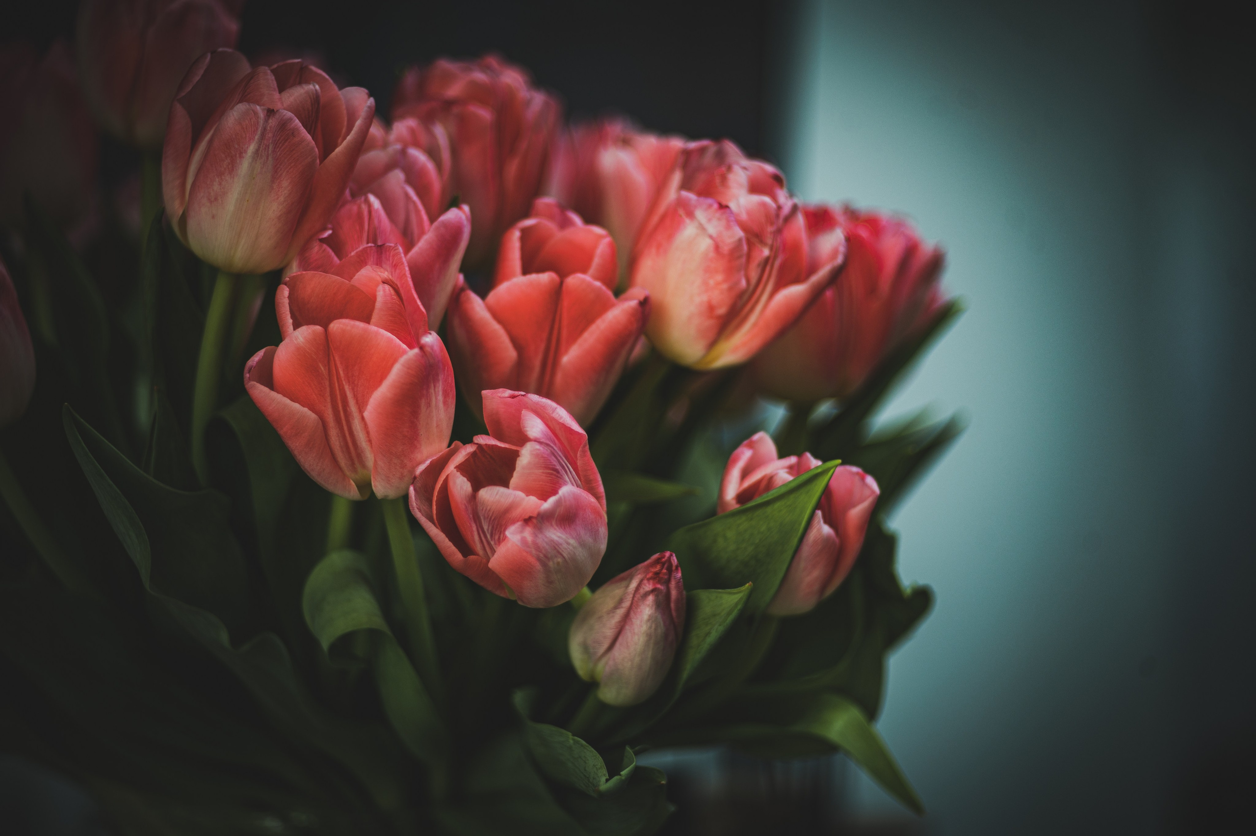 Фотопрогулка. Апрель 2023. Москва. Фотограф Роман Адлер