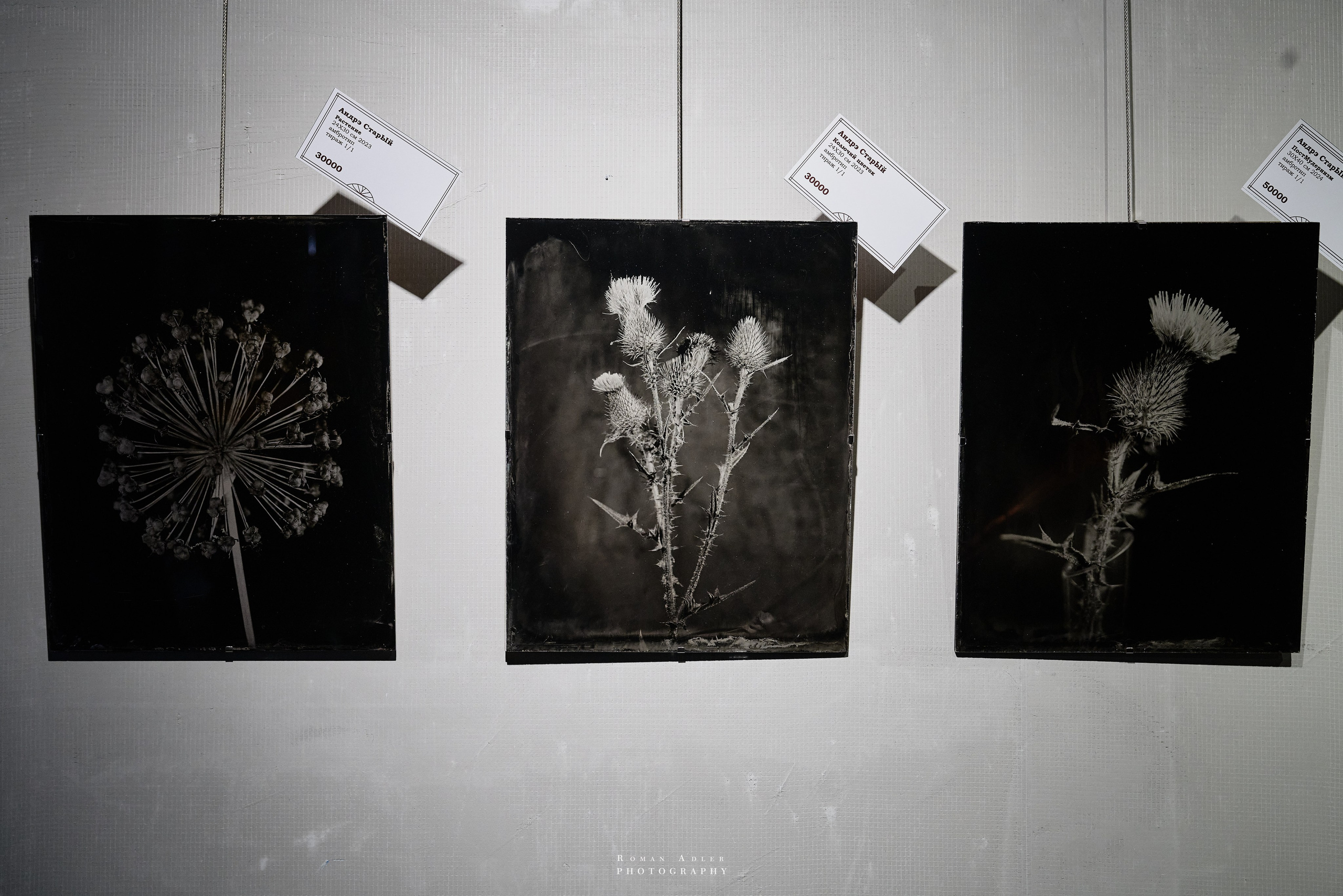 Фестиваль ретро фотографии LUX PICTURA. Фотограф Роман Адлер