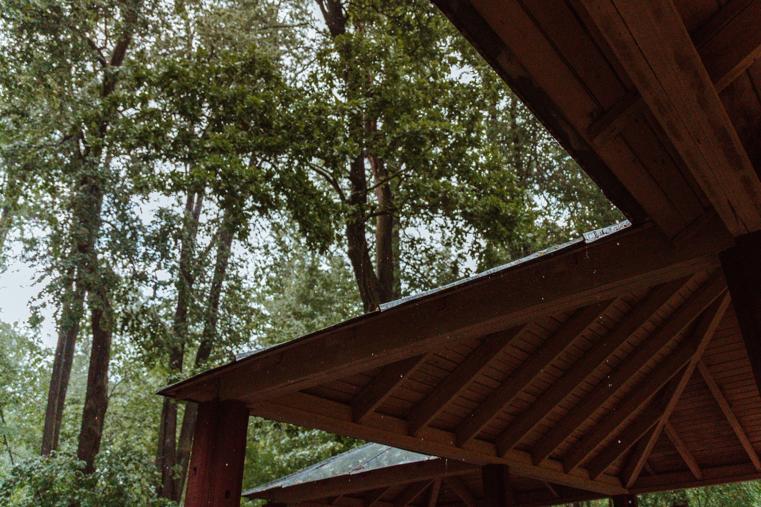 Шашлыки с ночевкой | 20-21.06.20. Галерея Фантим