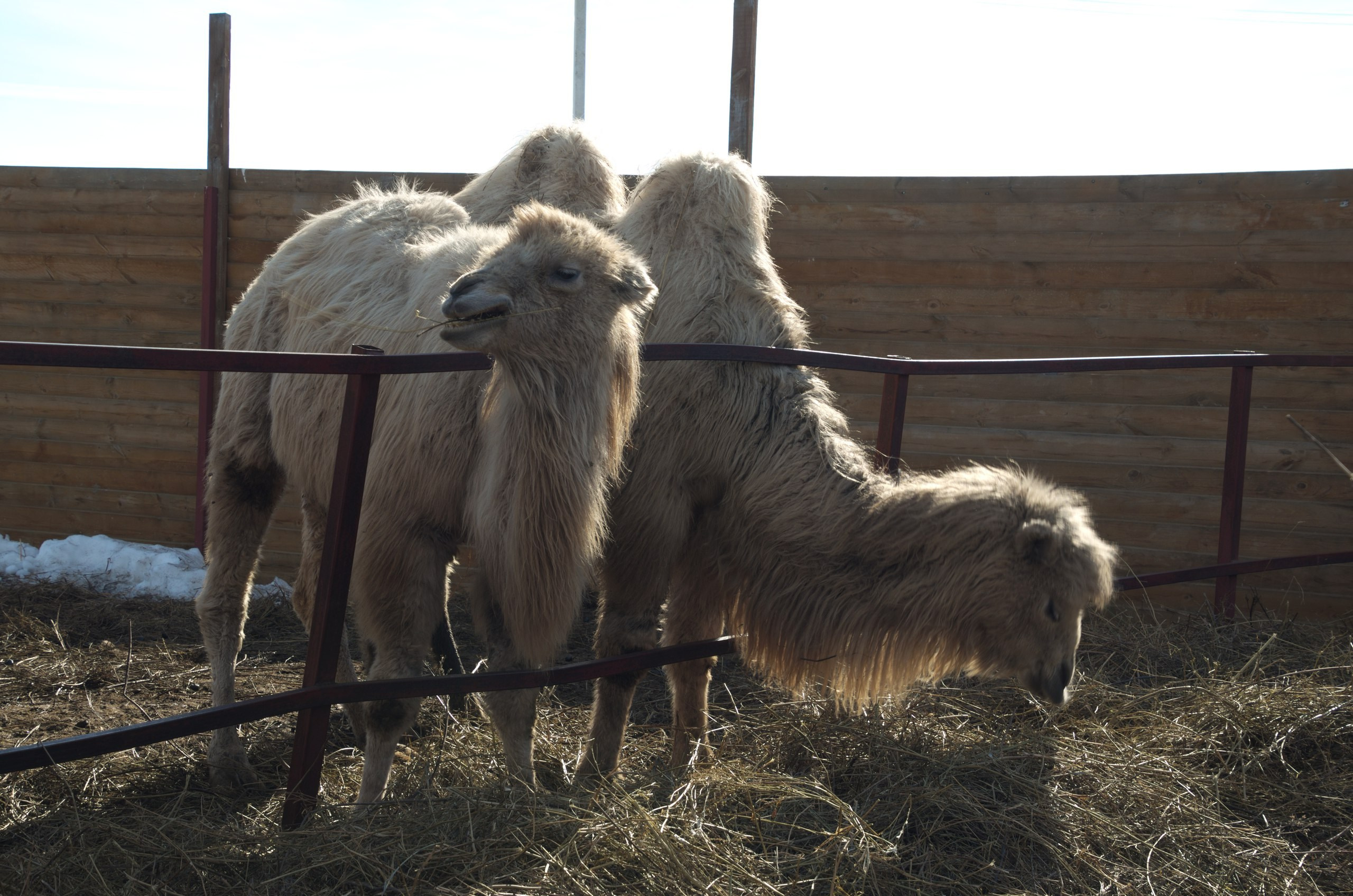 Казань | 24-26.03.2017. Галерея Фантим