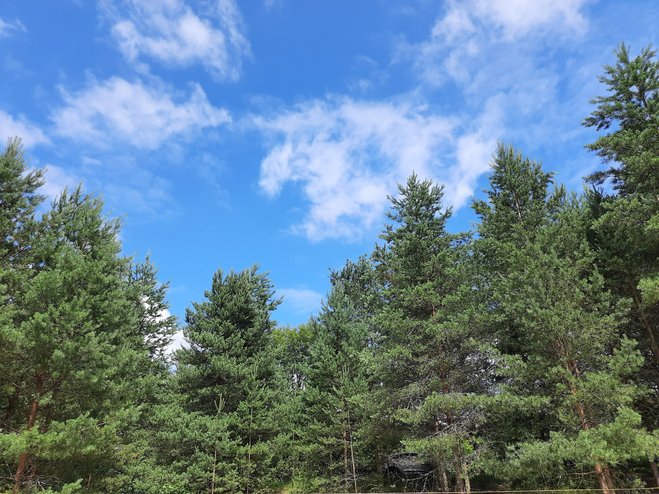 Походная Романтика 34. Давай Гавай!. Галерея Фантим