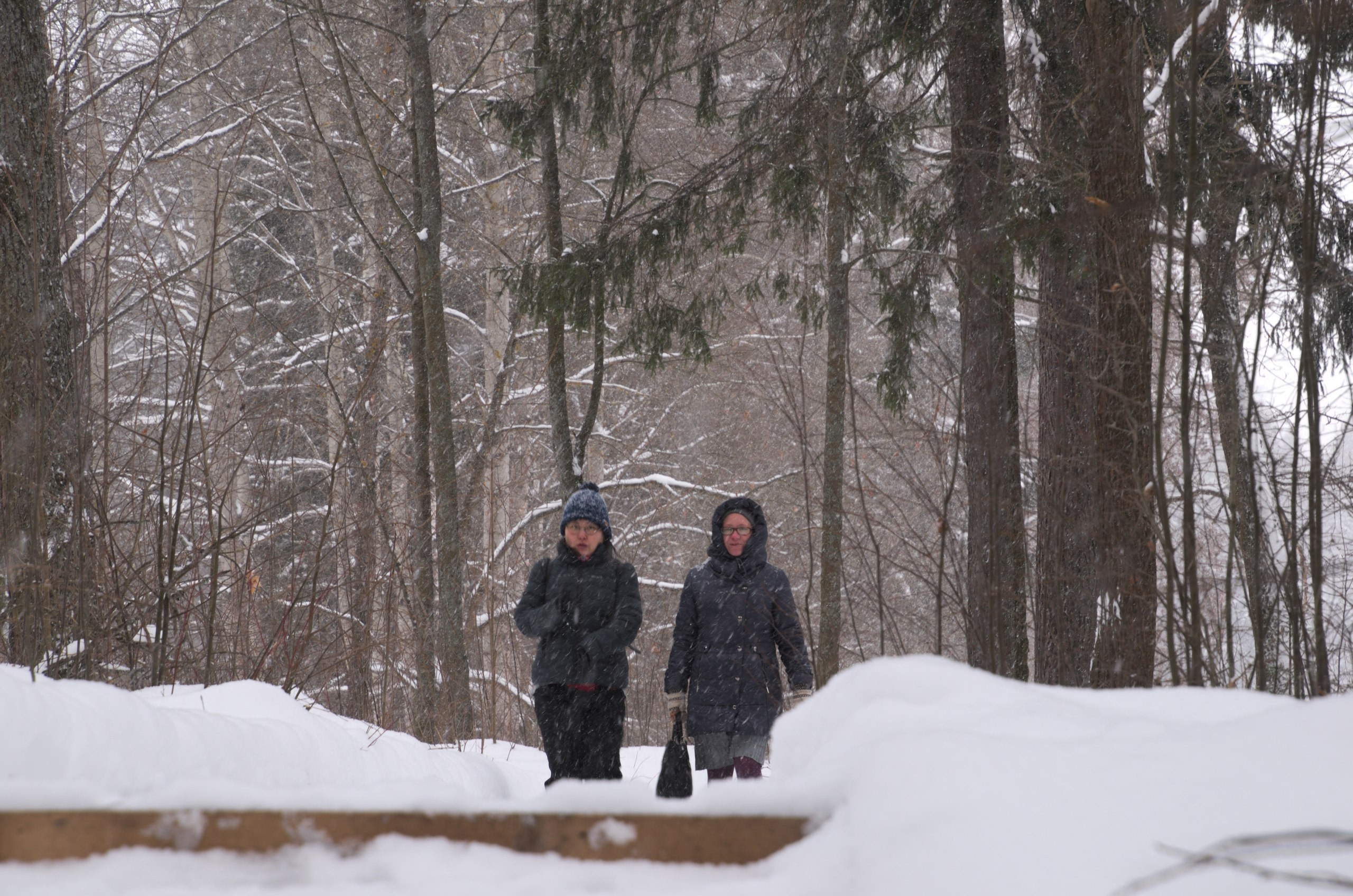Сергиев Посад | 11.12.2016. Галерея Фантим