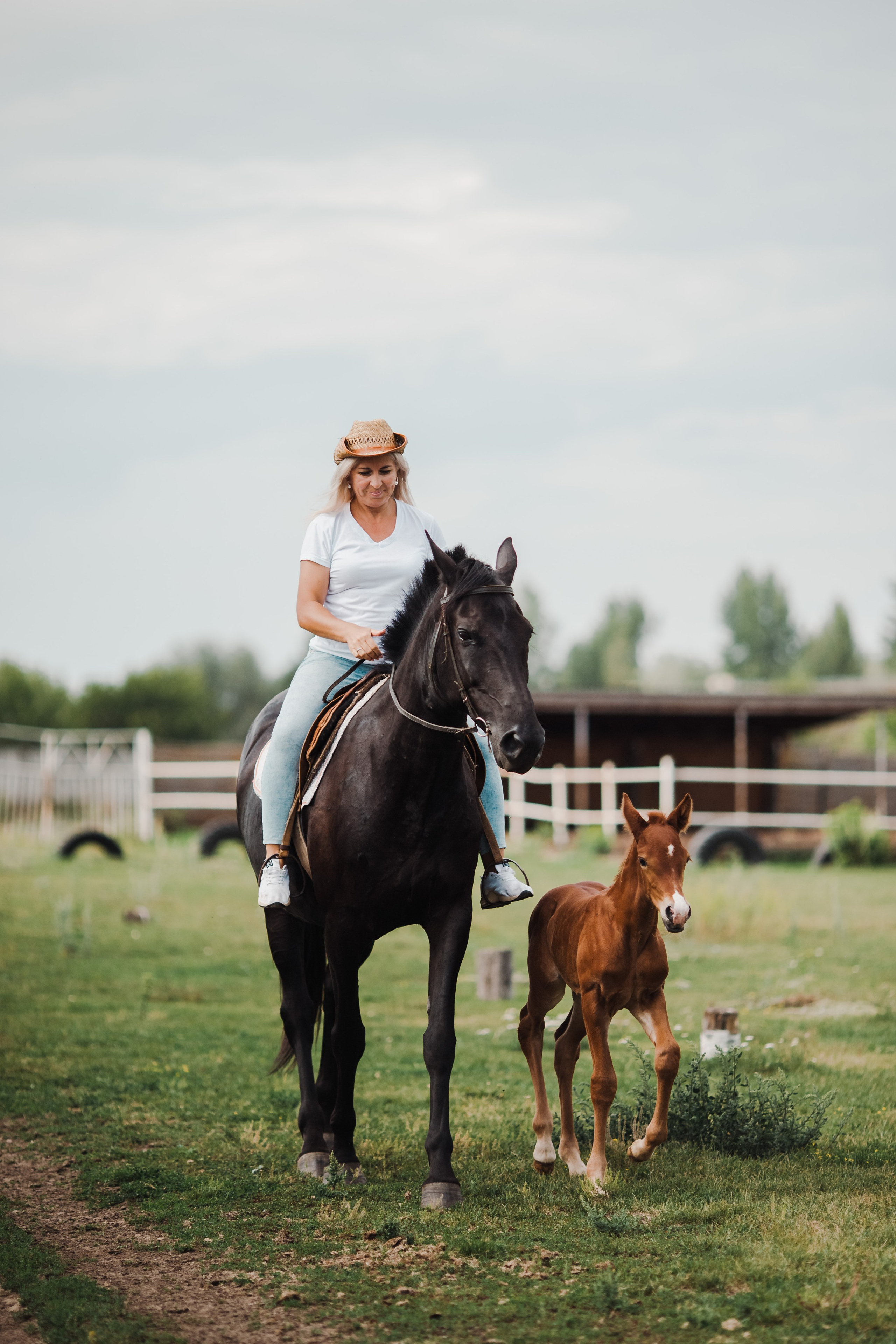 Семья на конной ферме. Свадебный и семейный фотограф Екатерина Бубнова