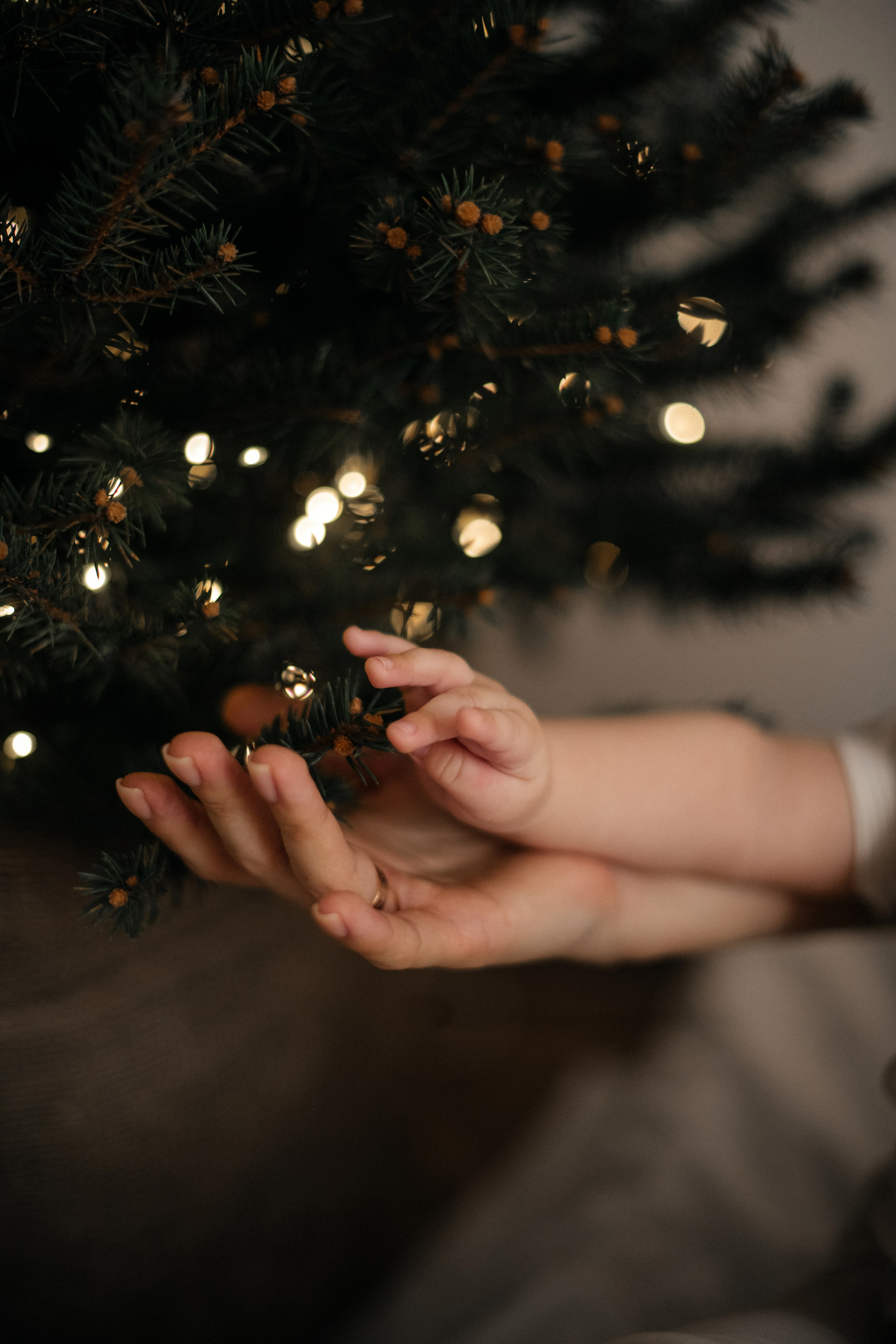 Семейные съемки. Главная