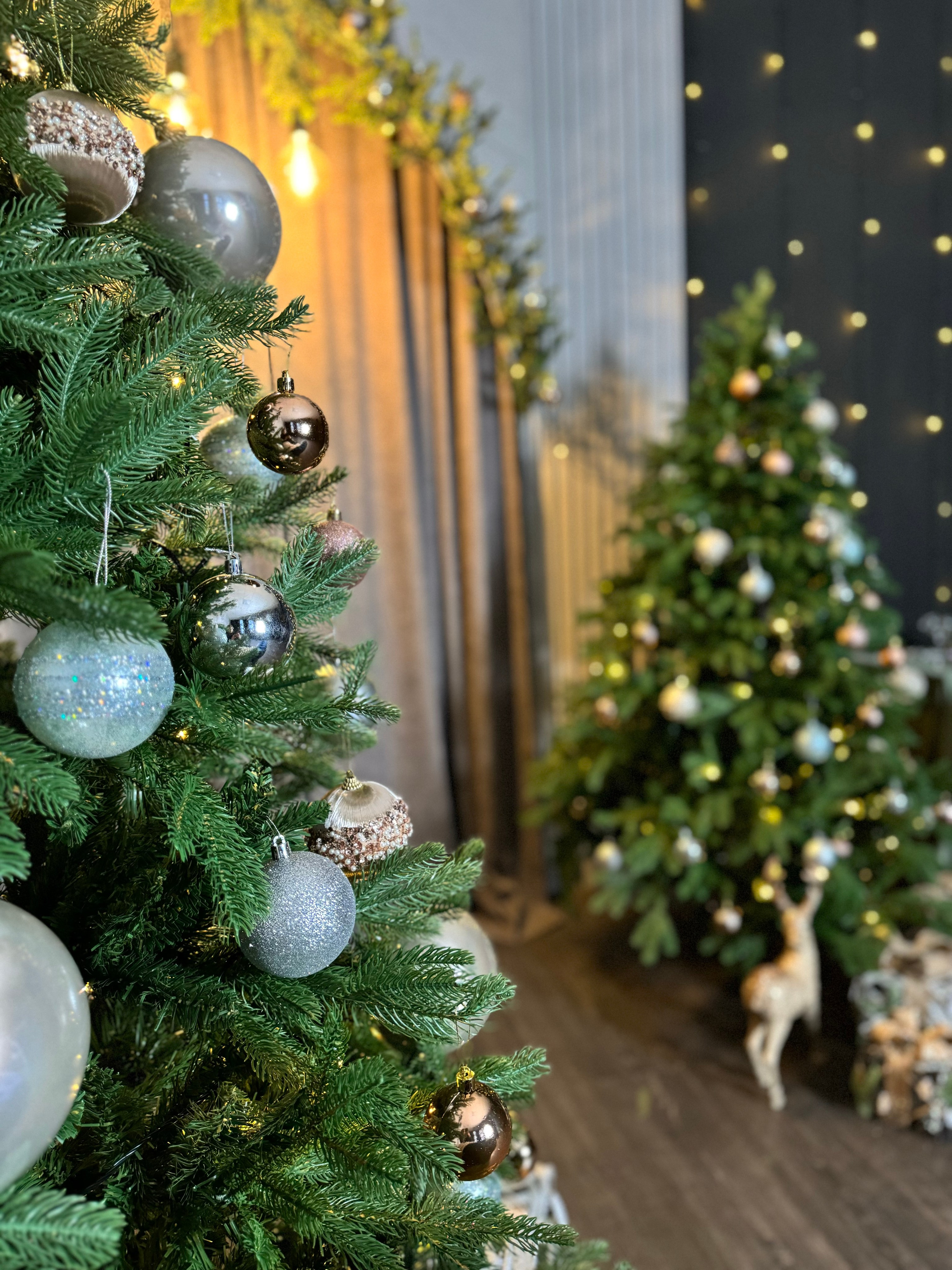 Зал Честер. Фотограф г. Хабаровск. Семейные и индивидуальные съёмки