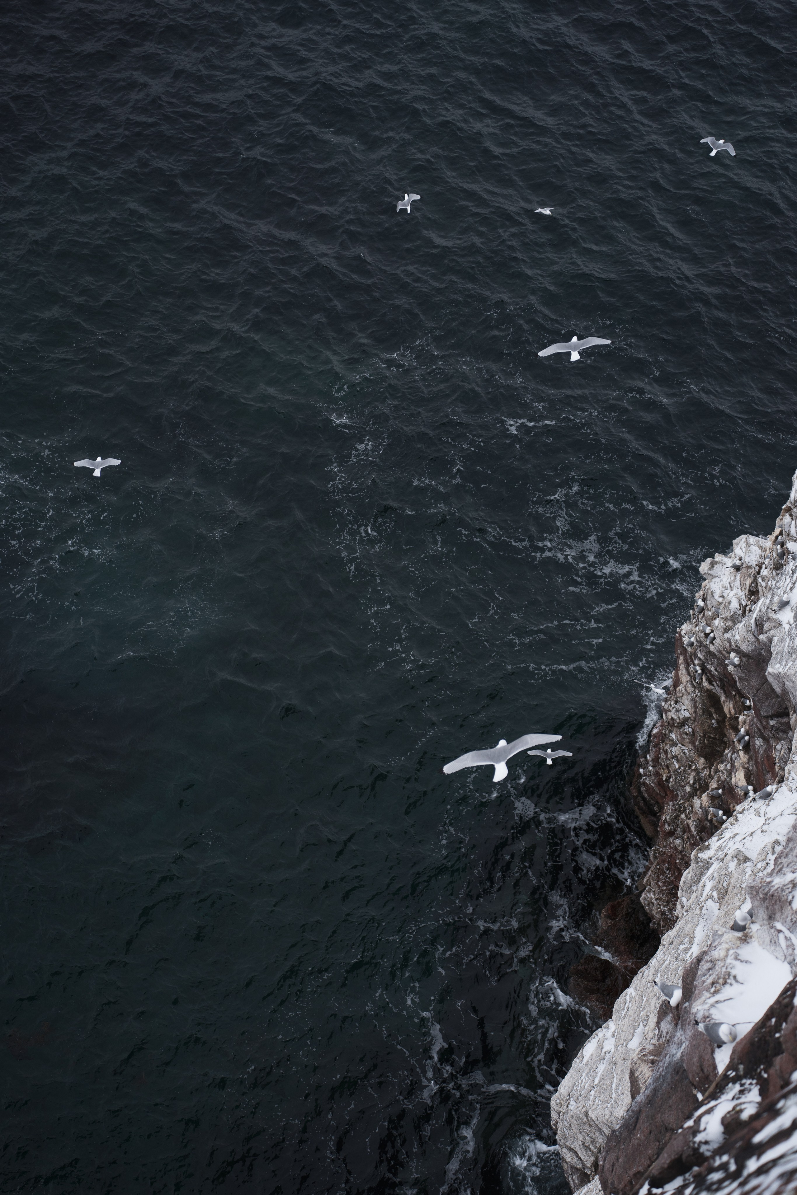 Териберка — репортаж тура Ковчег 51. Видеограф в Санкт-Петербурге Анастасия Коок