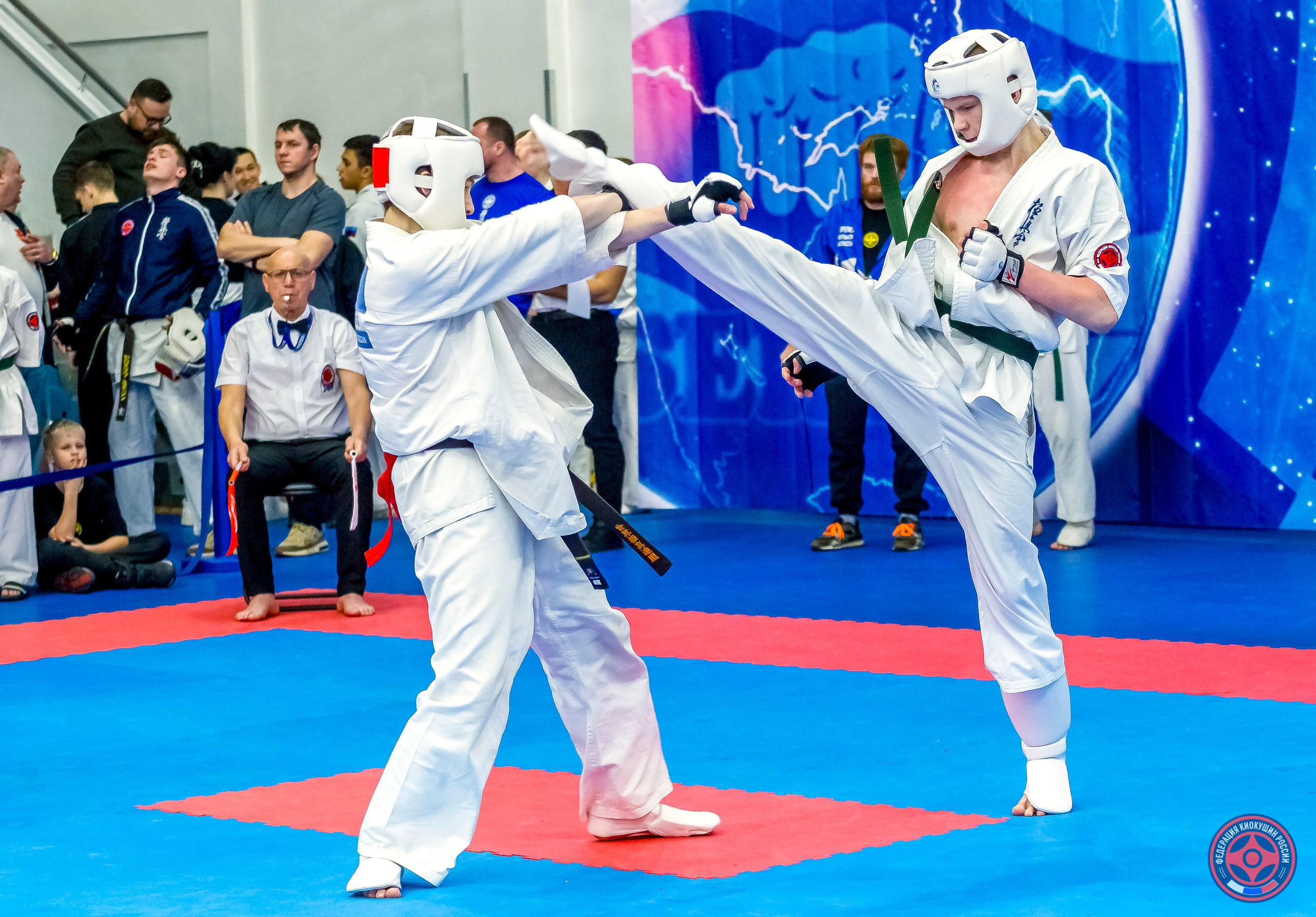 Международный турнир по киокушин «Открытый кубок Seiken». Репортажная съемка в Москве и области. Анималистика