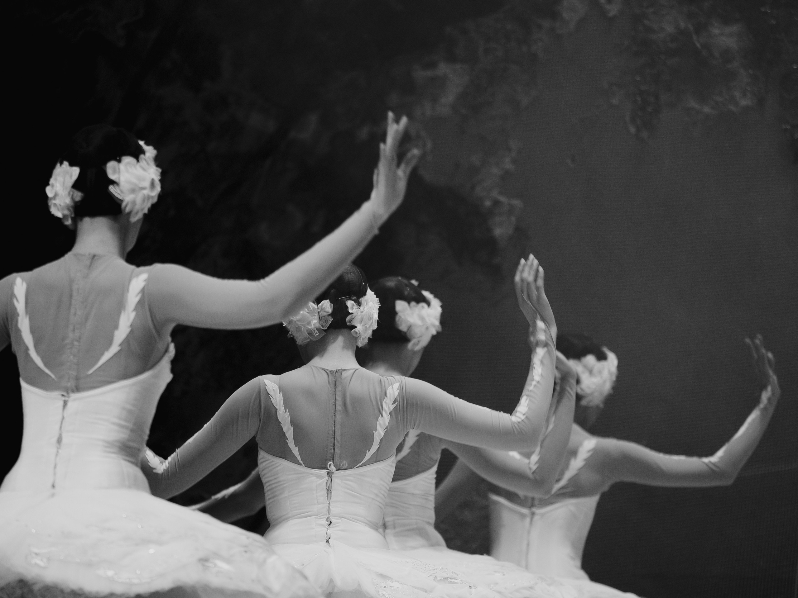 Балет «Лебединое озеро». Маруся Машкова • Фотограф в Москве