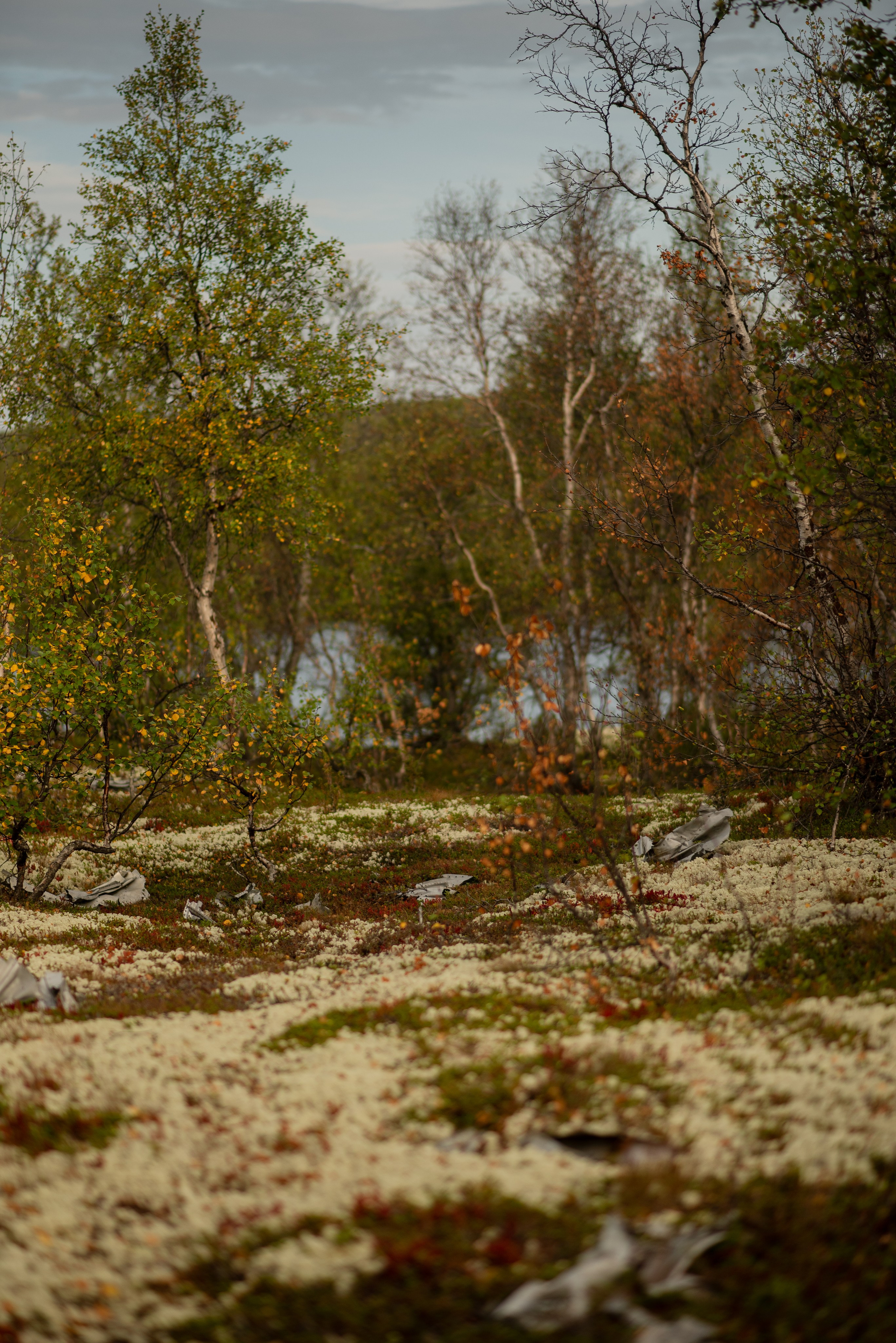 Заполярье. Мурманская область. Поселок Луостари. Река Титовка. Озеро Вайявр. Гора Нармвара. 18–28 августа 2024 г. Юлия Щёкотова | Портретный и семейный фотограф | Вологда