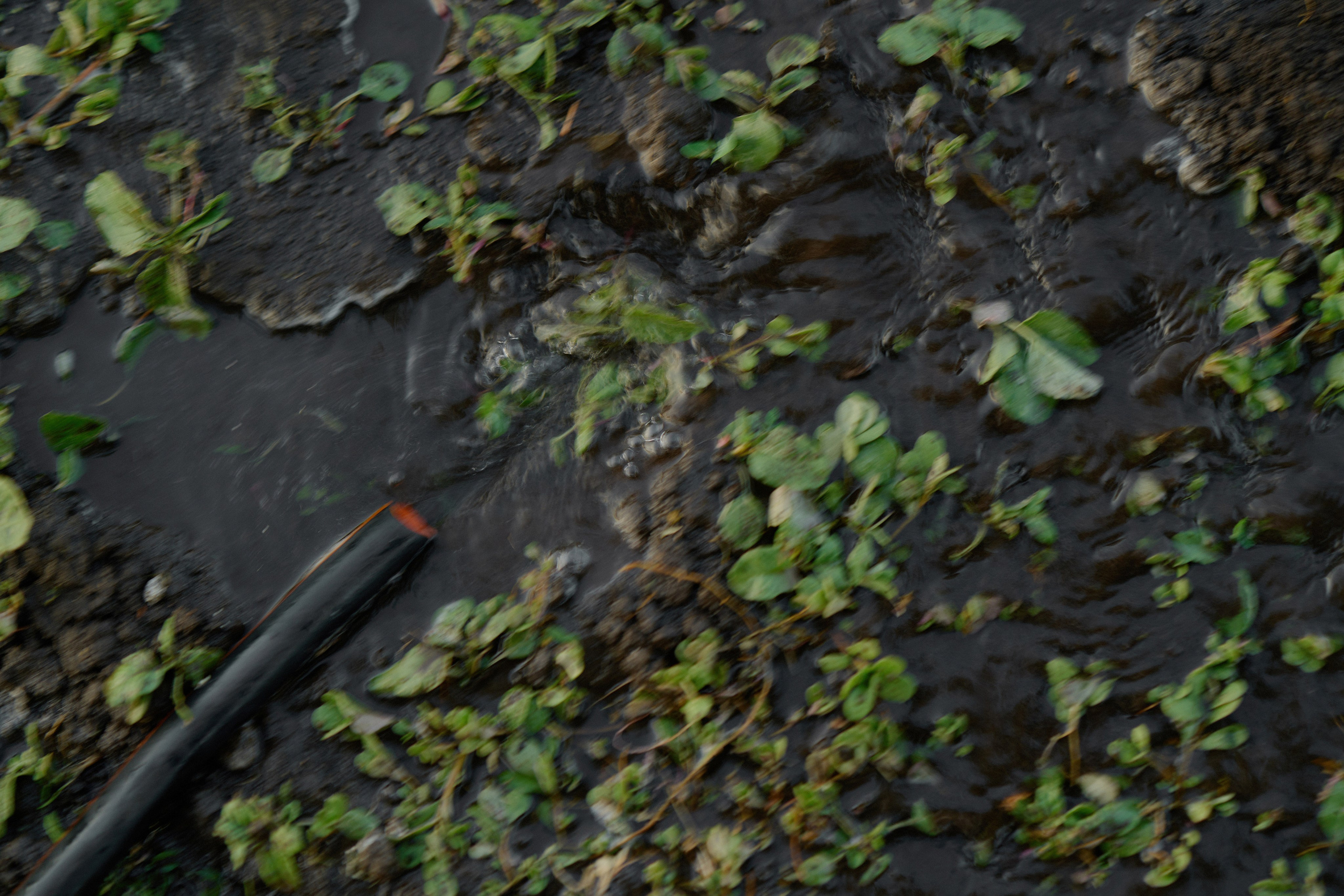 Сountry love. Свадебный фотограф в Ростовe-на-Дону Анастасия Прутова