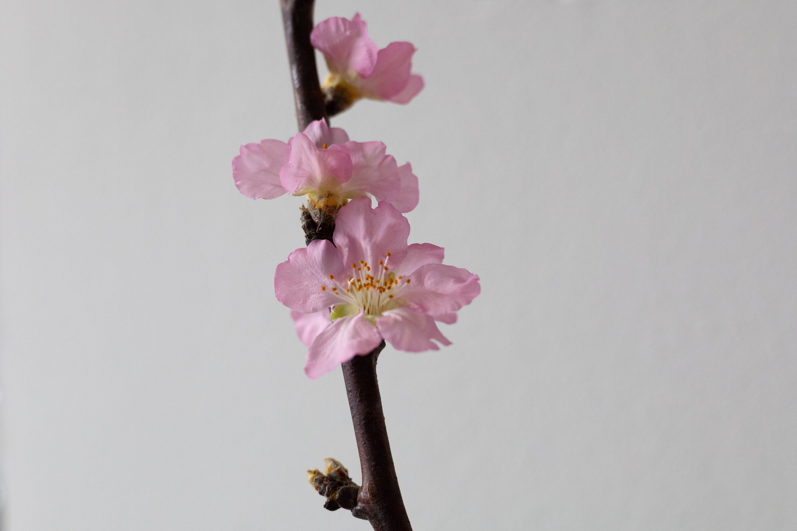 Clarity. ITMAG.ME | Visual Art