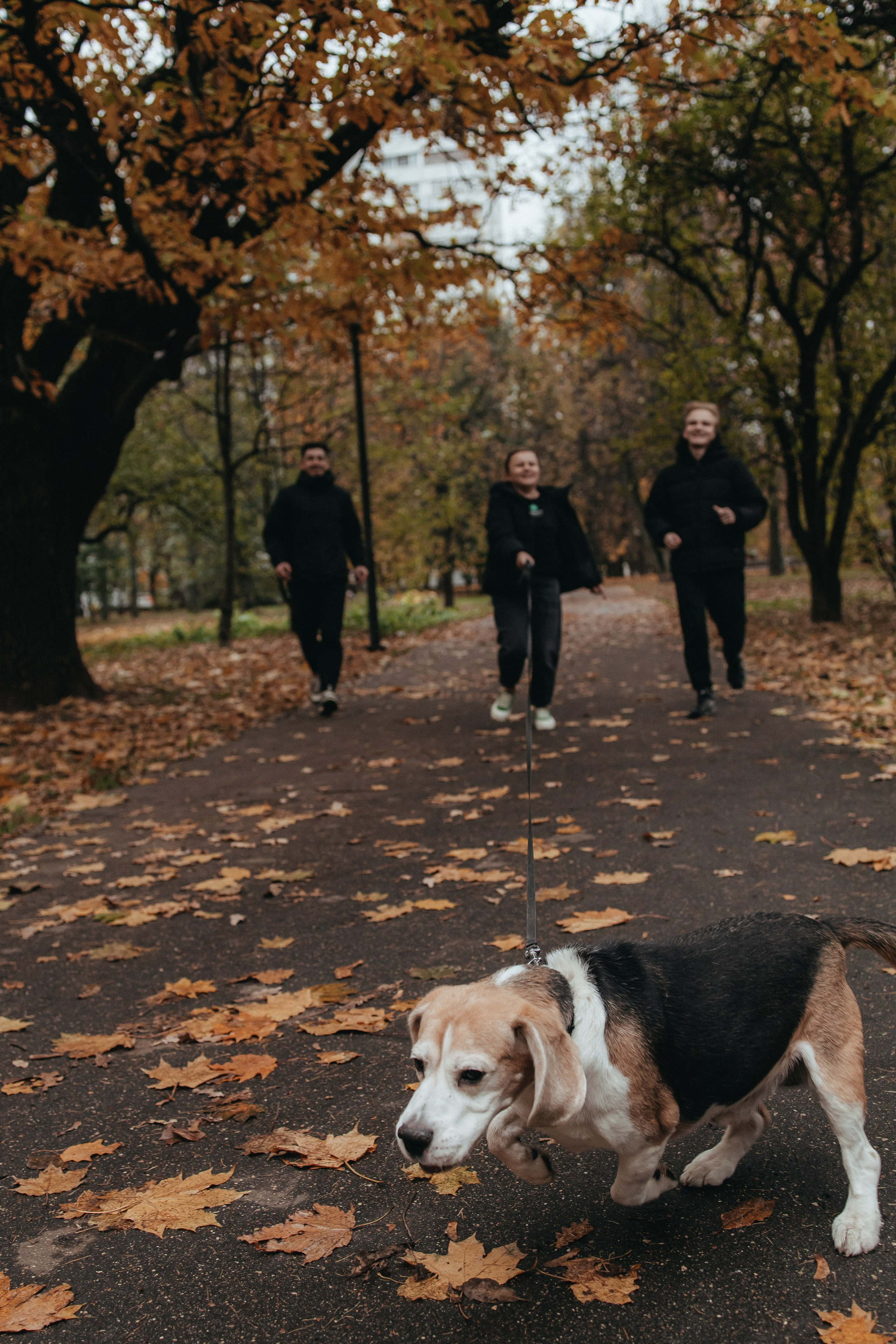Семейная фотосессия с собакой. Семейный фотограф в Москве, Щелково, Фрязино _ Виктория Степанова