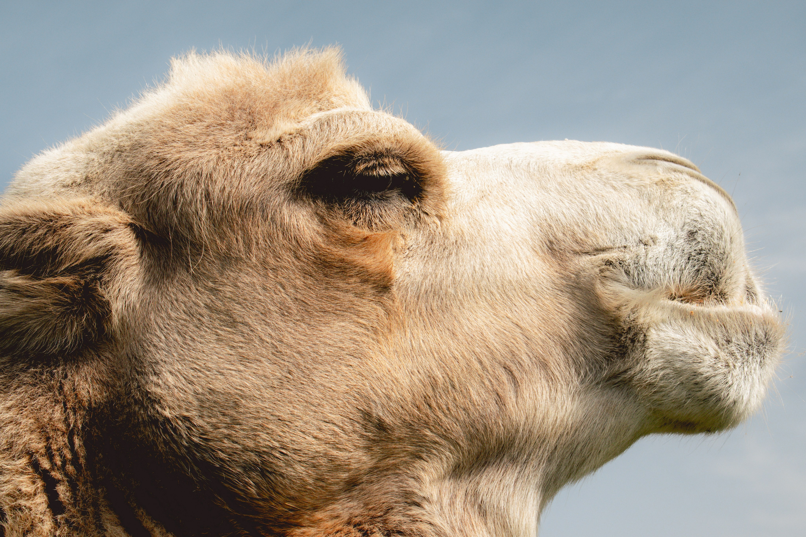 Репортажный фотограф Даниил Чеснов | Тверь