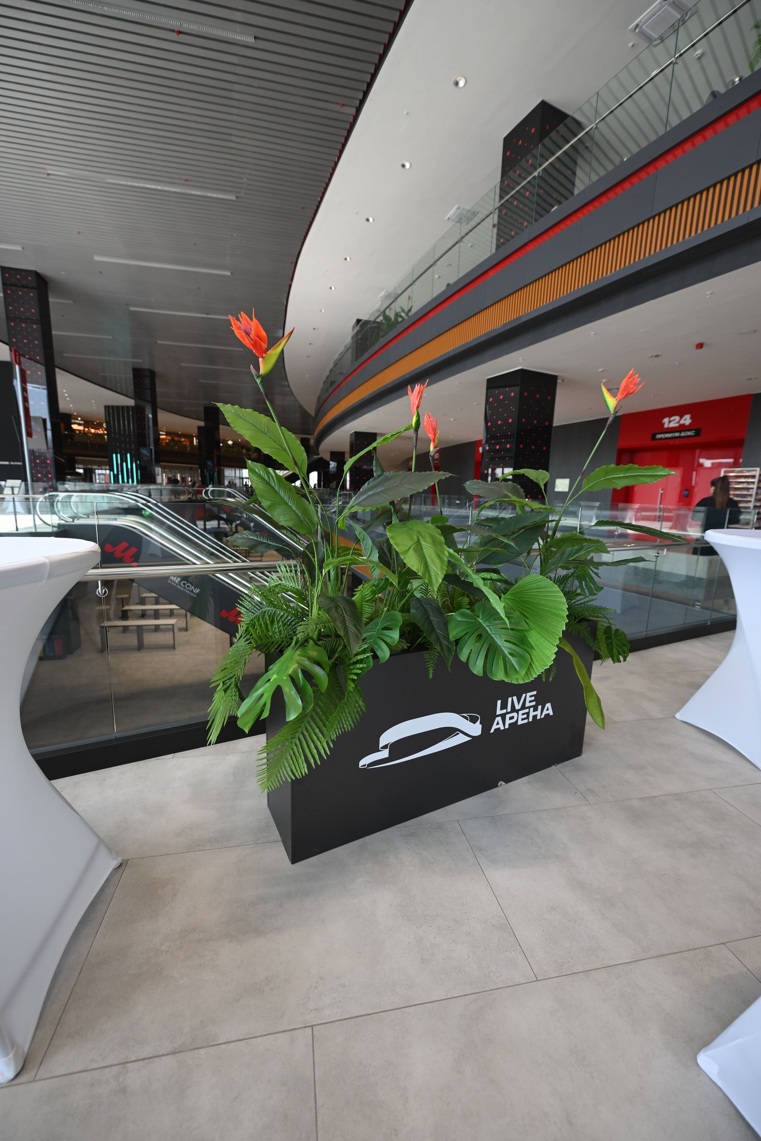 Me conf | Live Arena. Портфолио