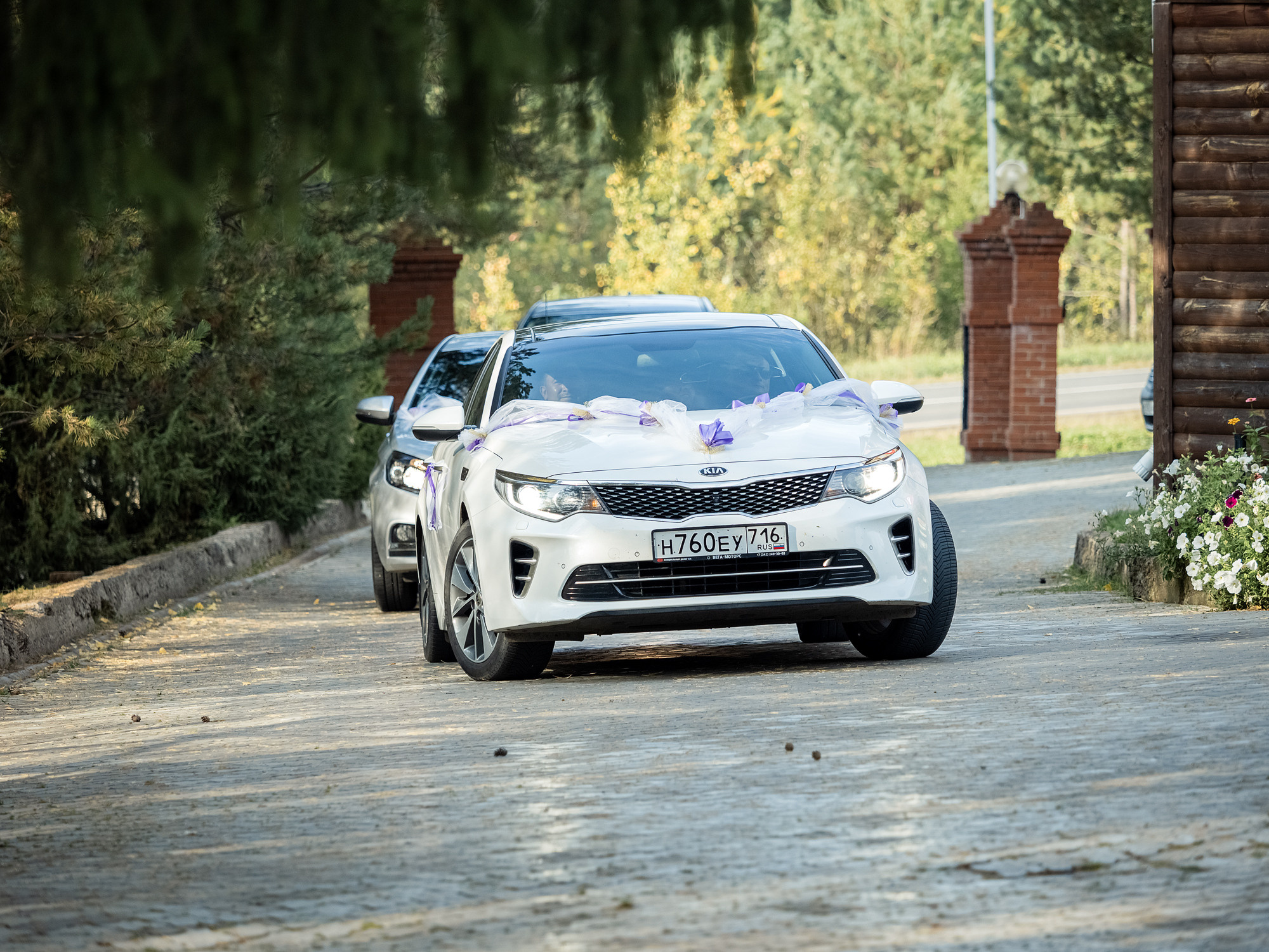 Елена и Игорь