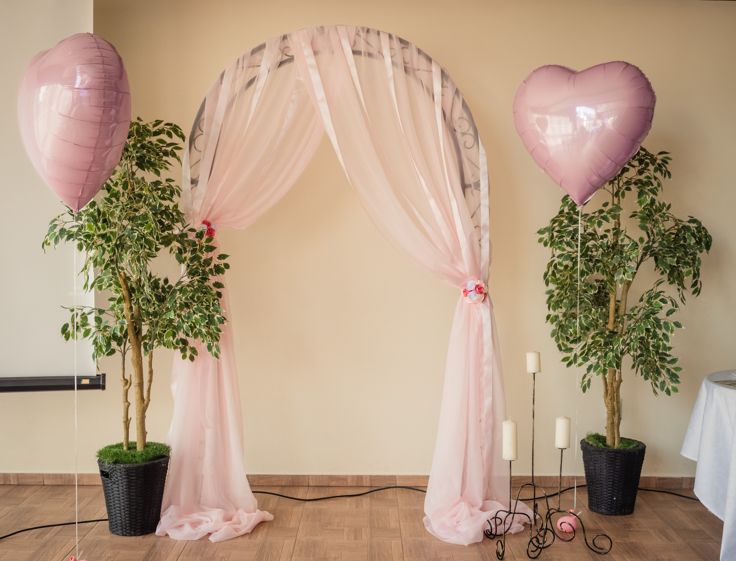 Кирилл и Виктория