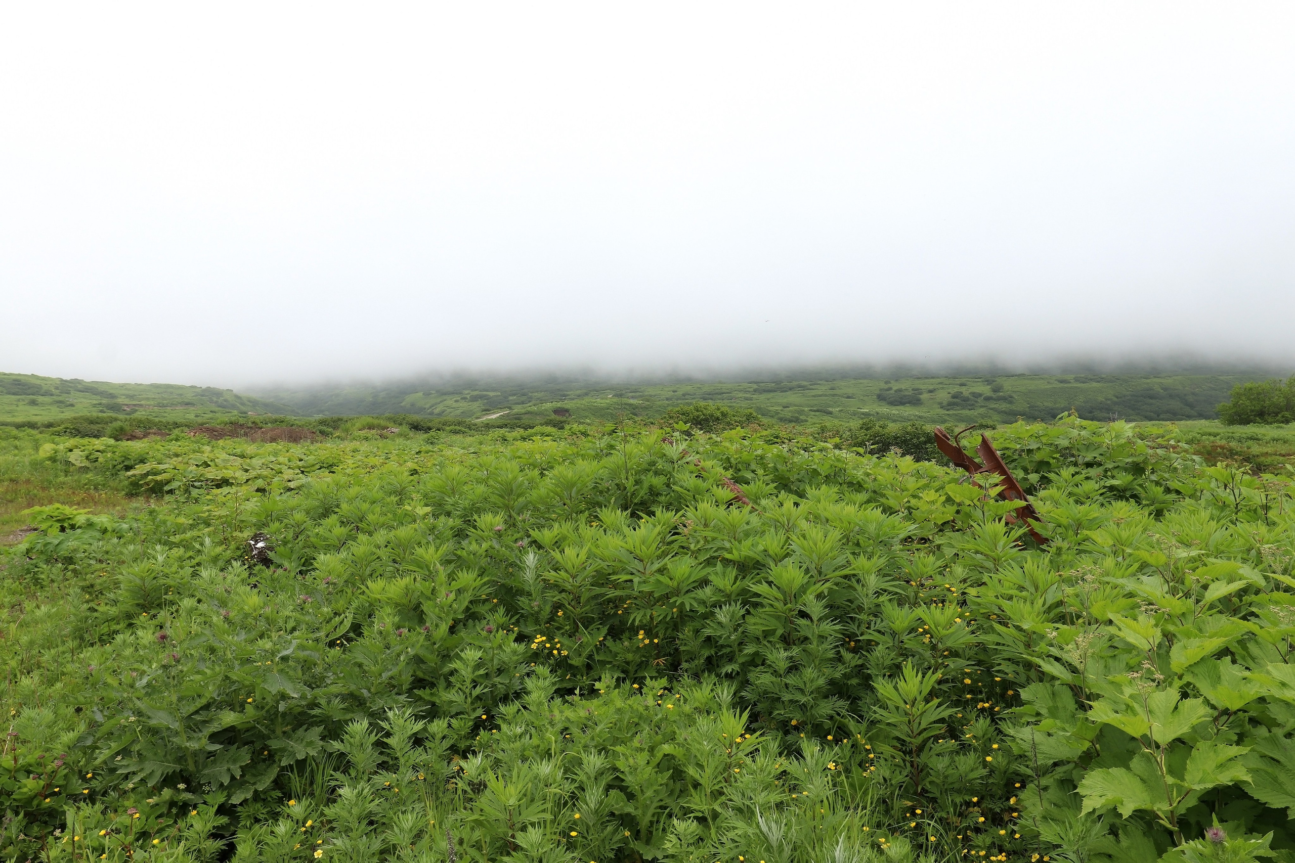 Побережье Курильского пролива, о. Парамушир (Курилы)