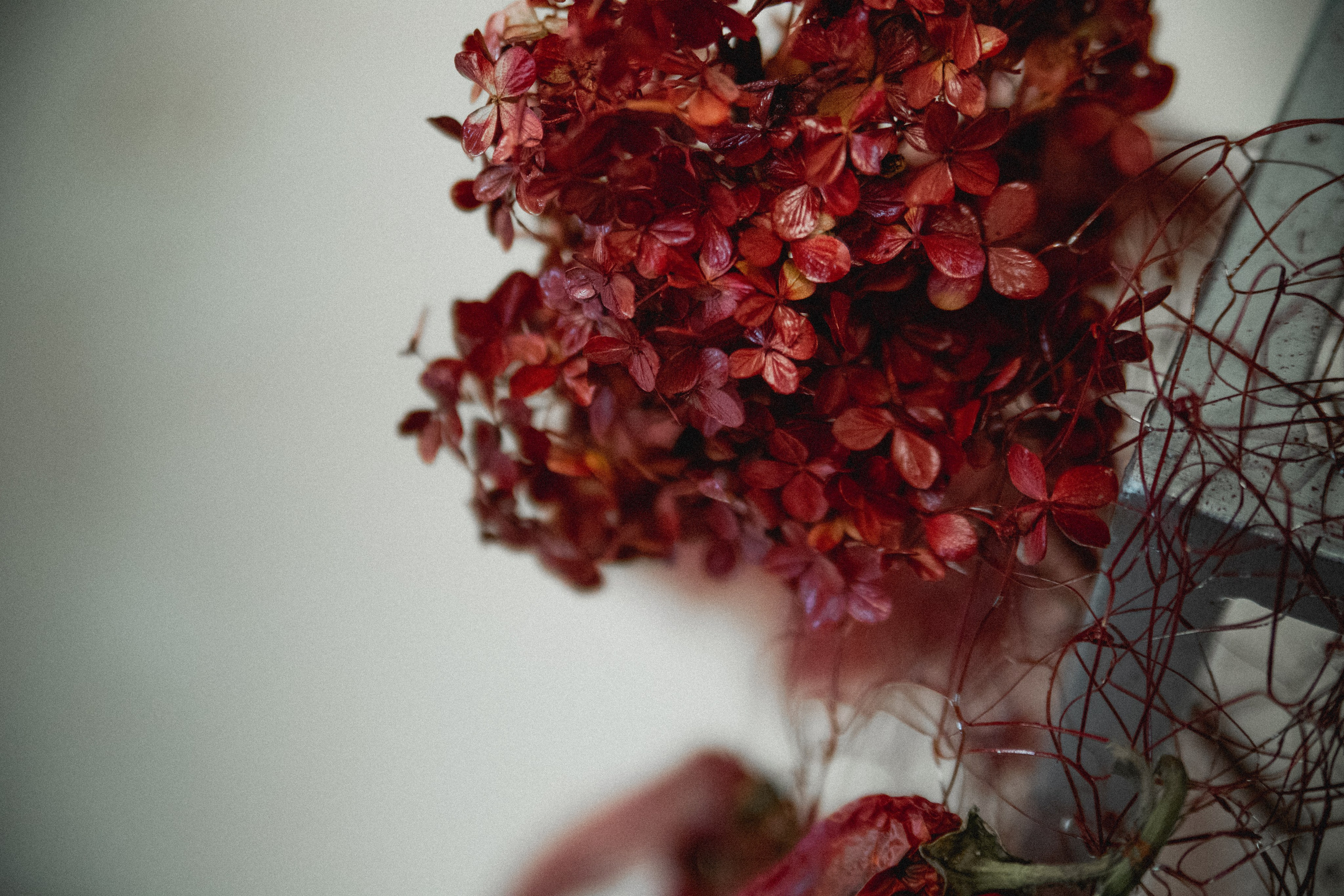 «Уютная Франция». Vmeste.Klassno