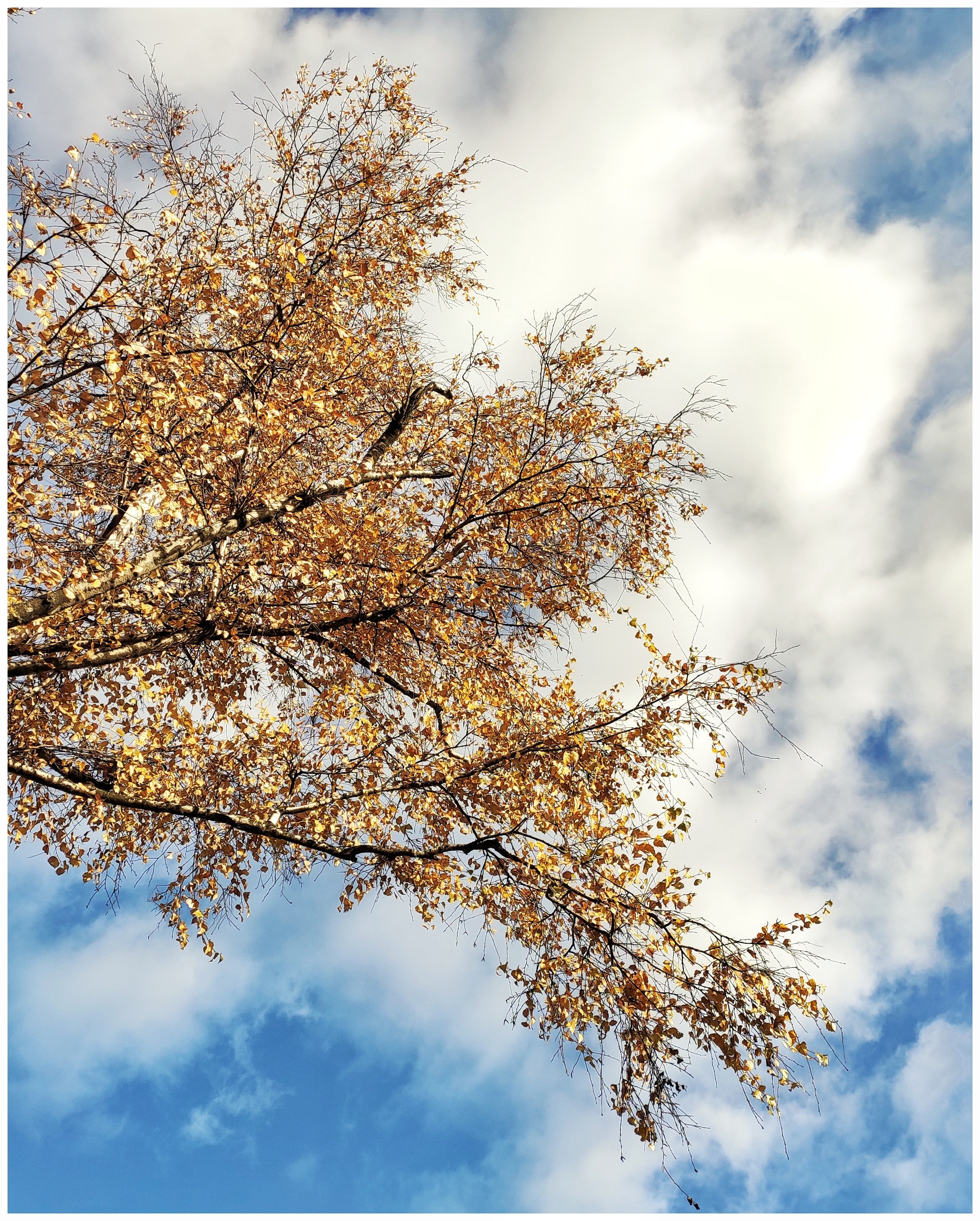 Мир повседневных Вещей. Репортажный и портретный фотограф, Влад Хафизов, Москва