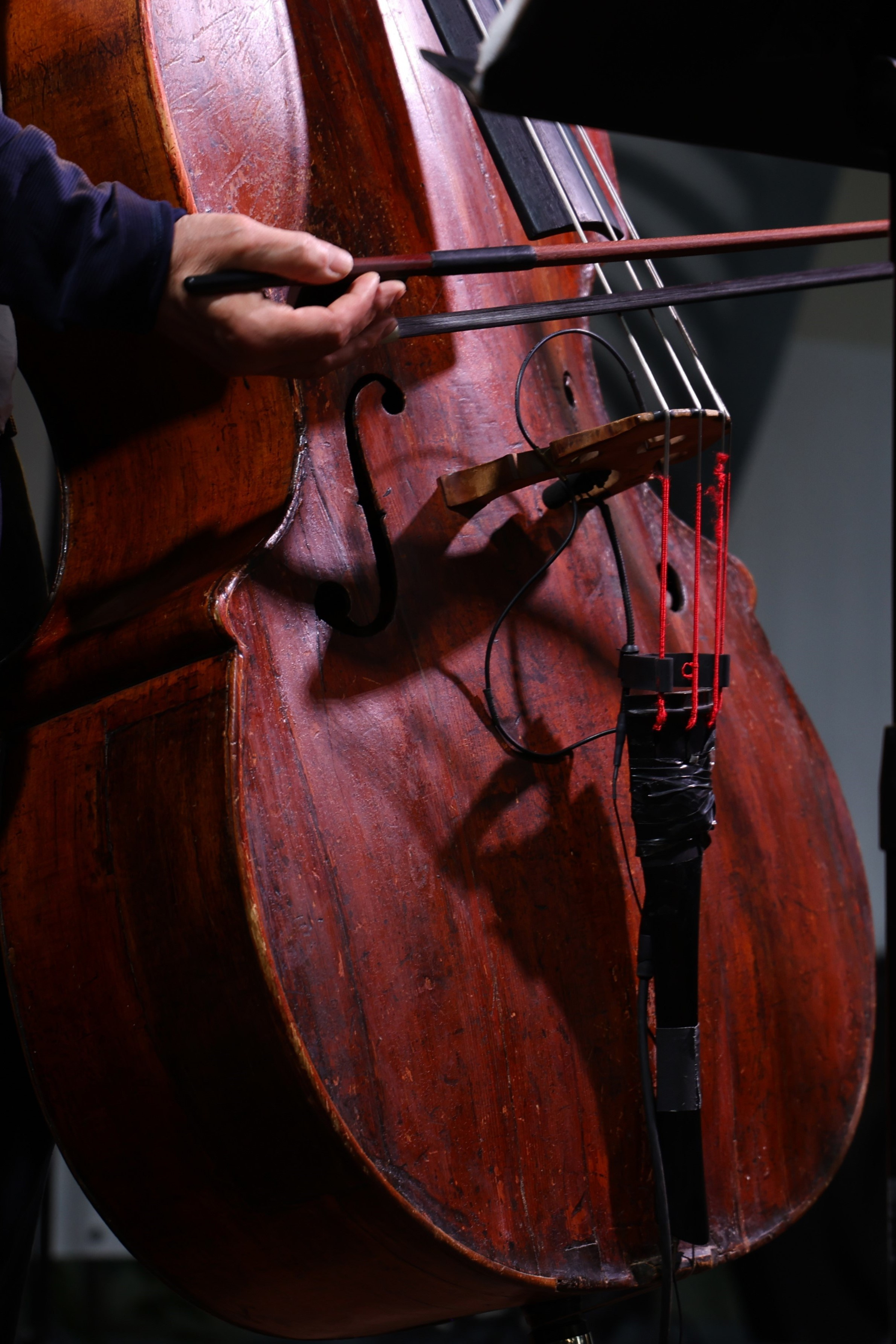 Фестиваль «Бродский драйв» 2025. Фотограф Елена Королевич