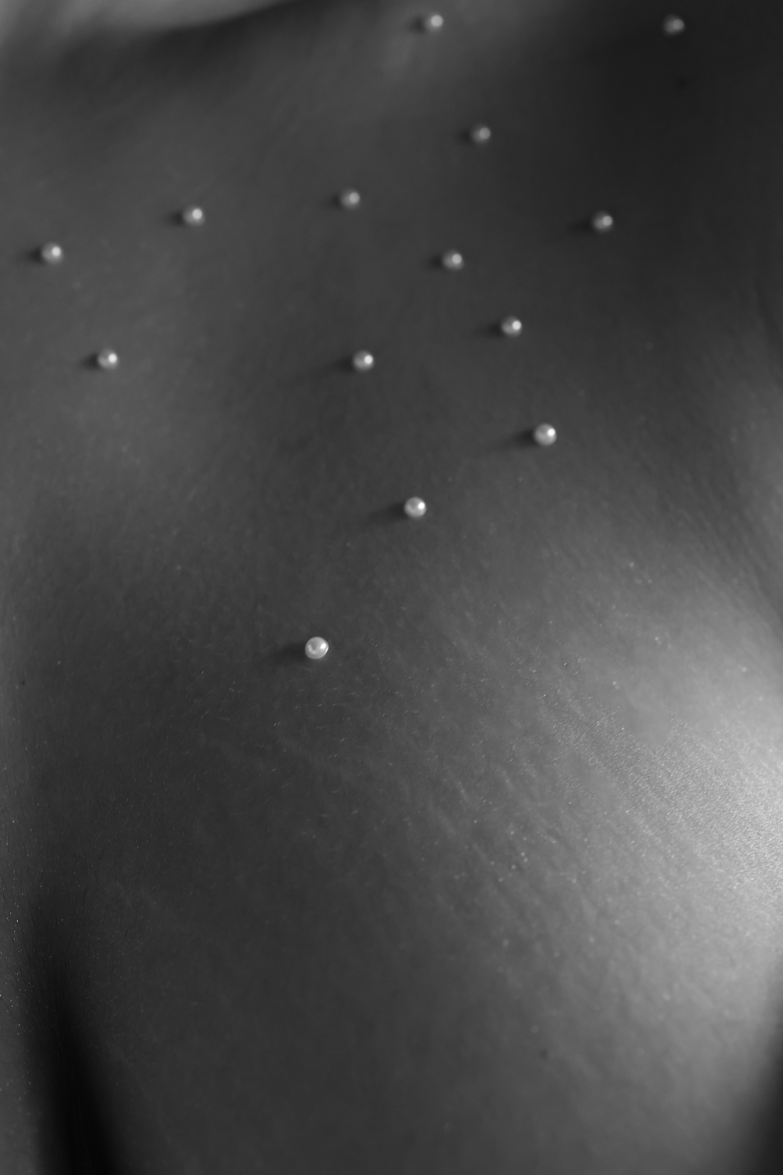 Кристиан и Николь. Свадебный и семейный фотограф в Воронеже Ксения Воротникова