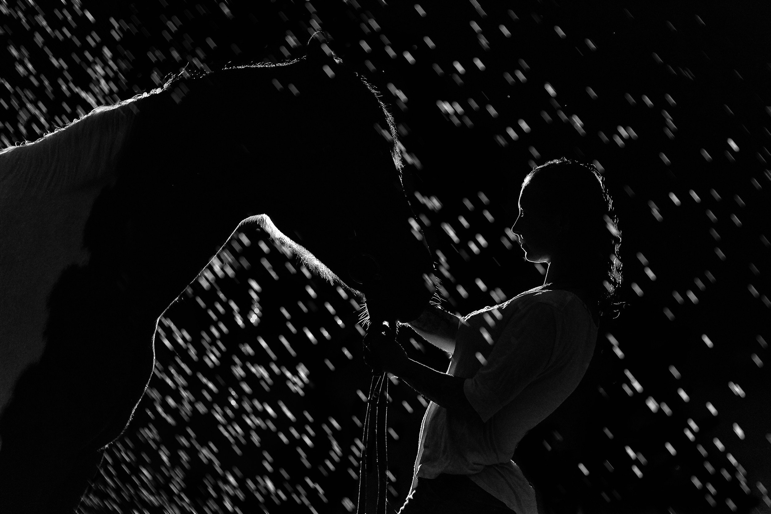 Фотосессия с лошадьми, Фотограф Михаил Семенов г. Ярославль