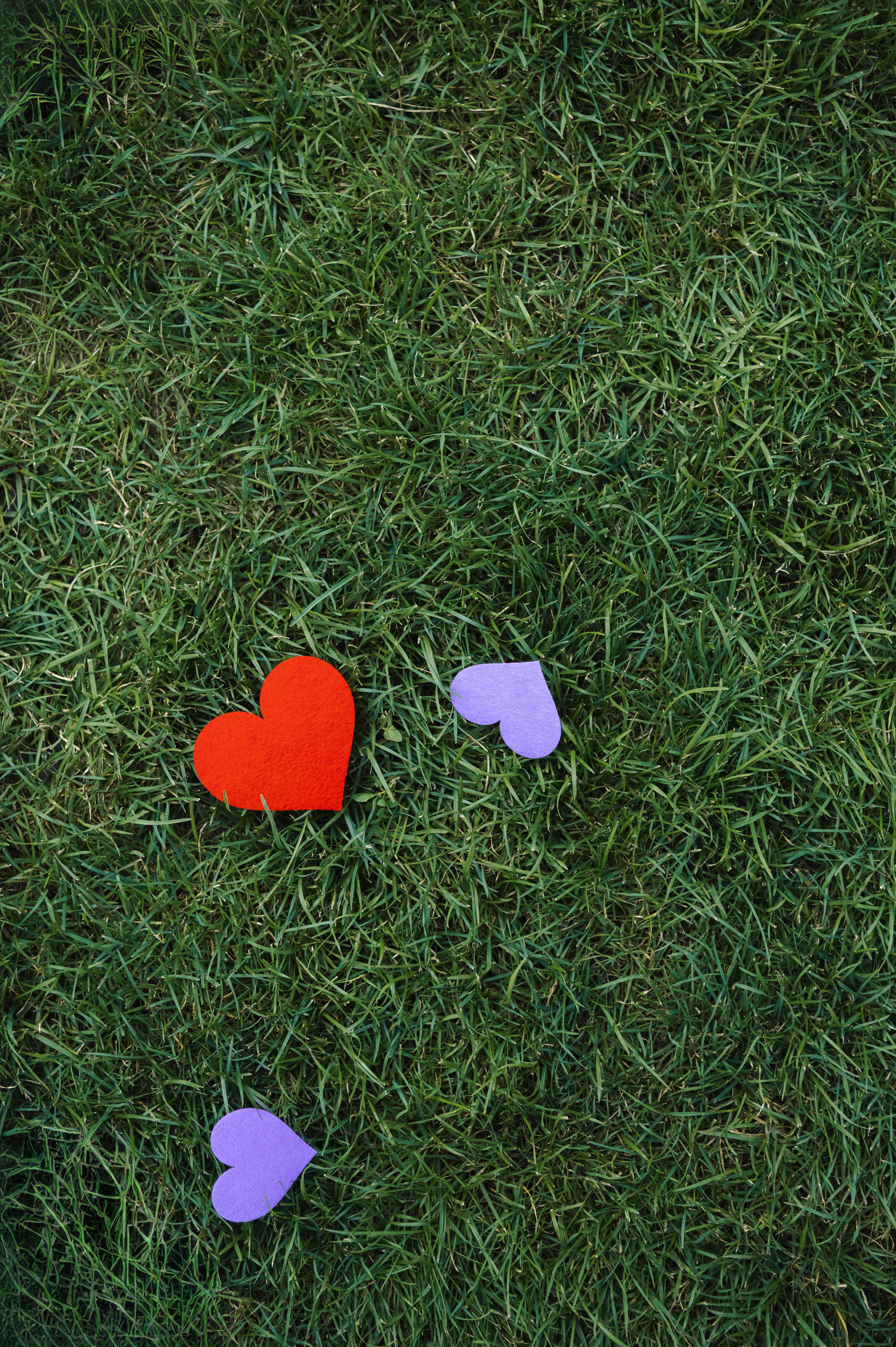 PER ASPERA AD ASTRA. Свадебный фотограф Ростов-на- Дону, Краснодар, Москва