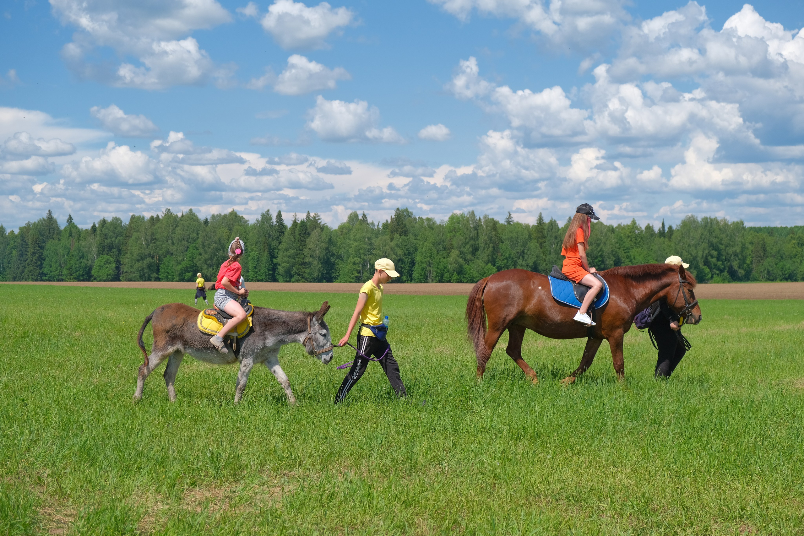 Удмуртский национальный праздник «Гербер». 2022. Максим Егоров, г. Ижевск. Репортажная, предметная съёмка и фуд-фотография
